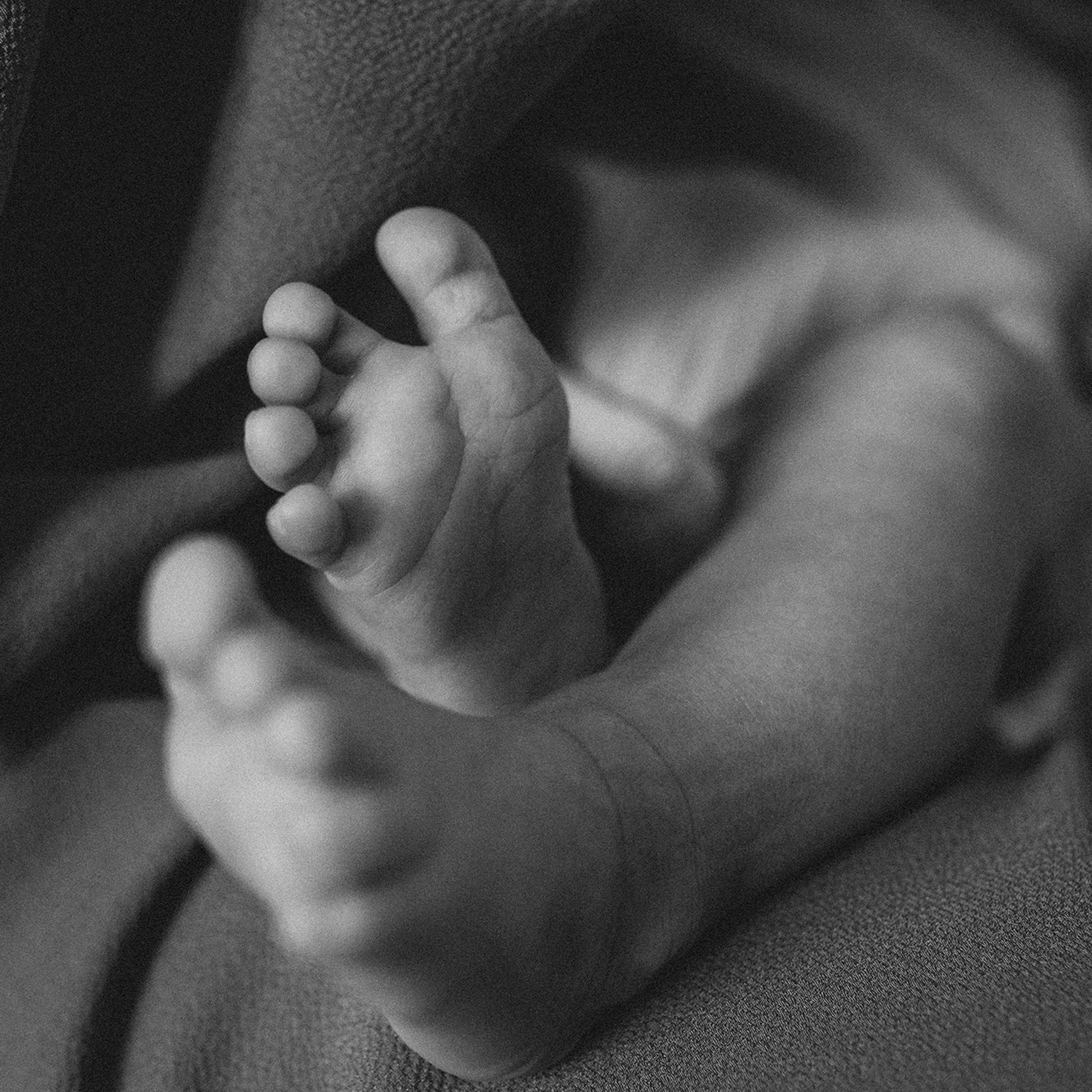 Тимофей, Оксана, Саша