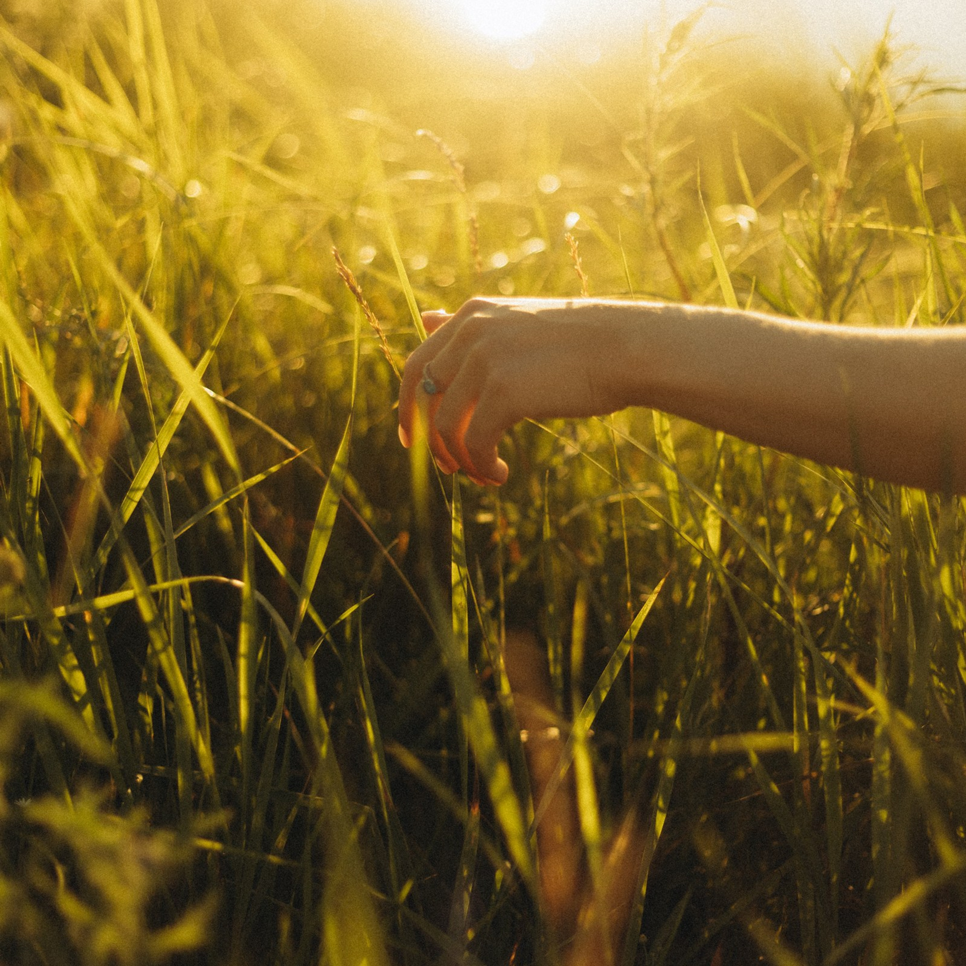 Чудесный закат