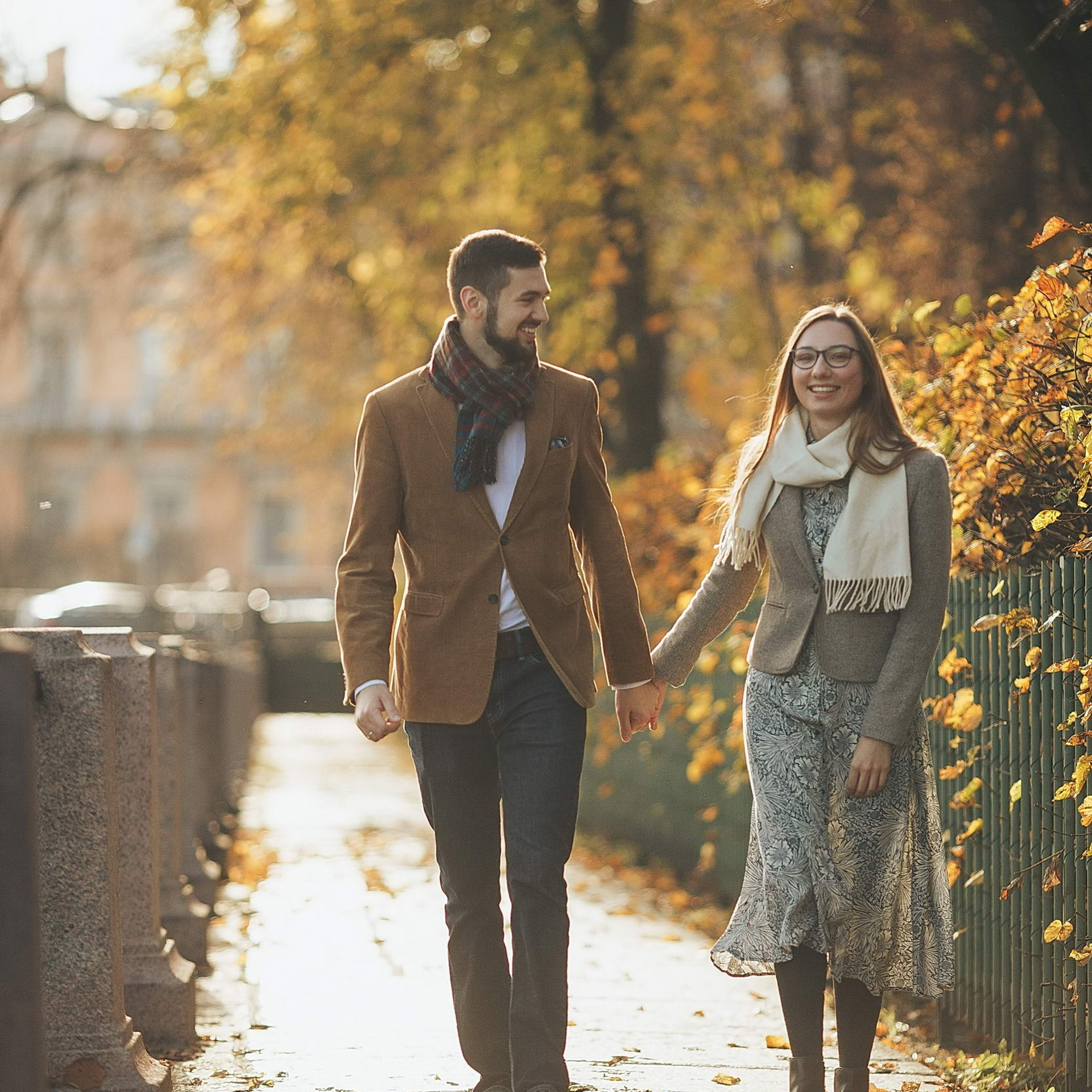 Последние листья