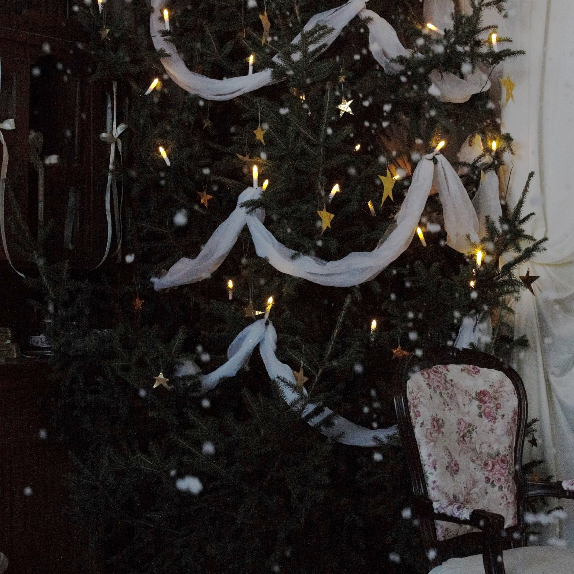 Новогодние локации 2026. Свадебный и семейный фотограф в Туле и области Маша Костина