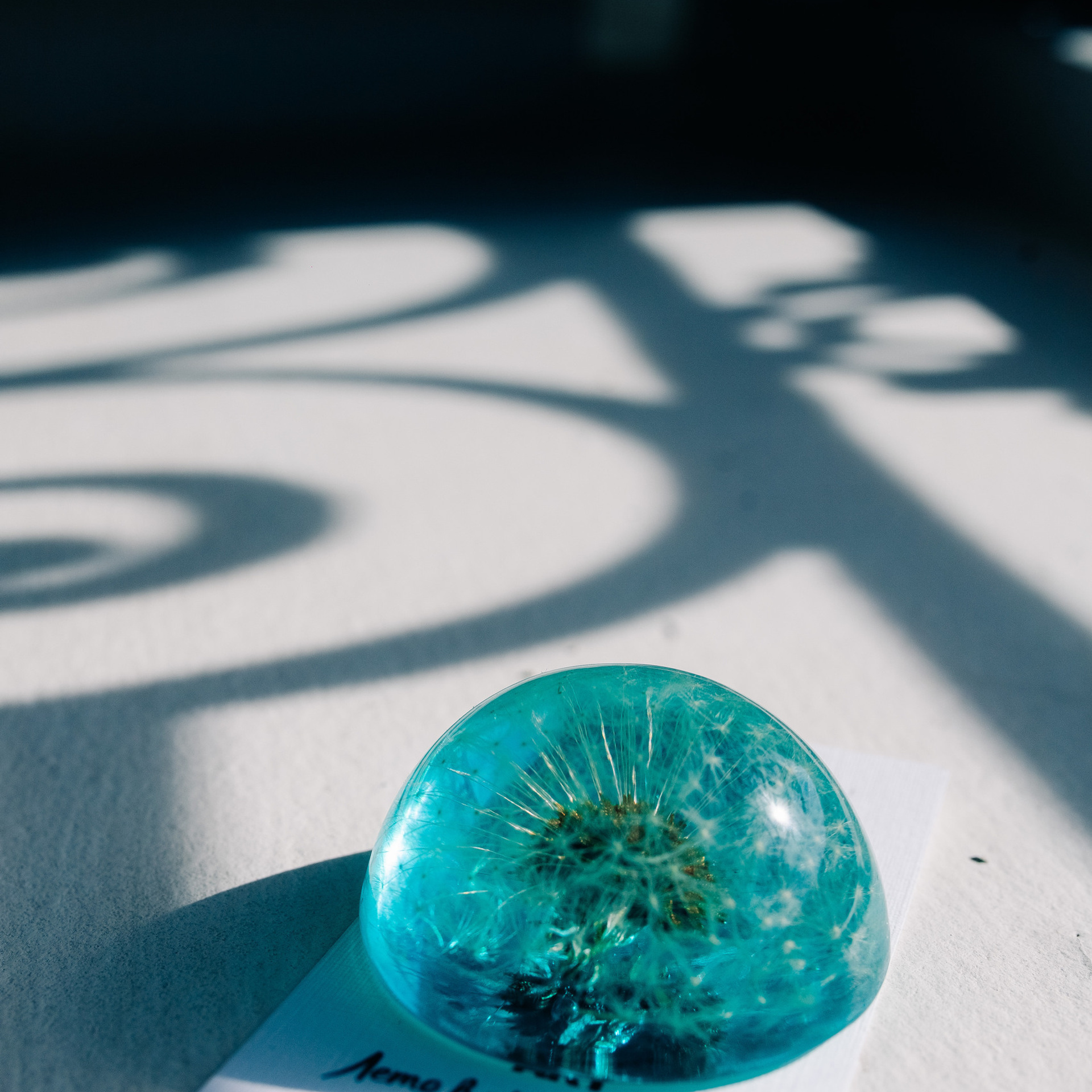 Отзывы. Фотограф в Санкт-Петербурге Шура Капустина