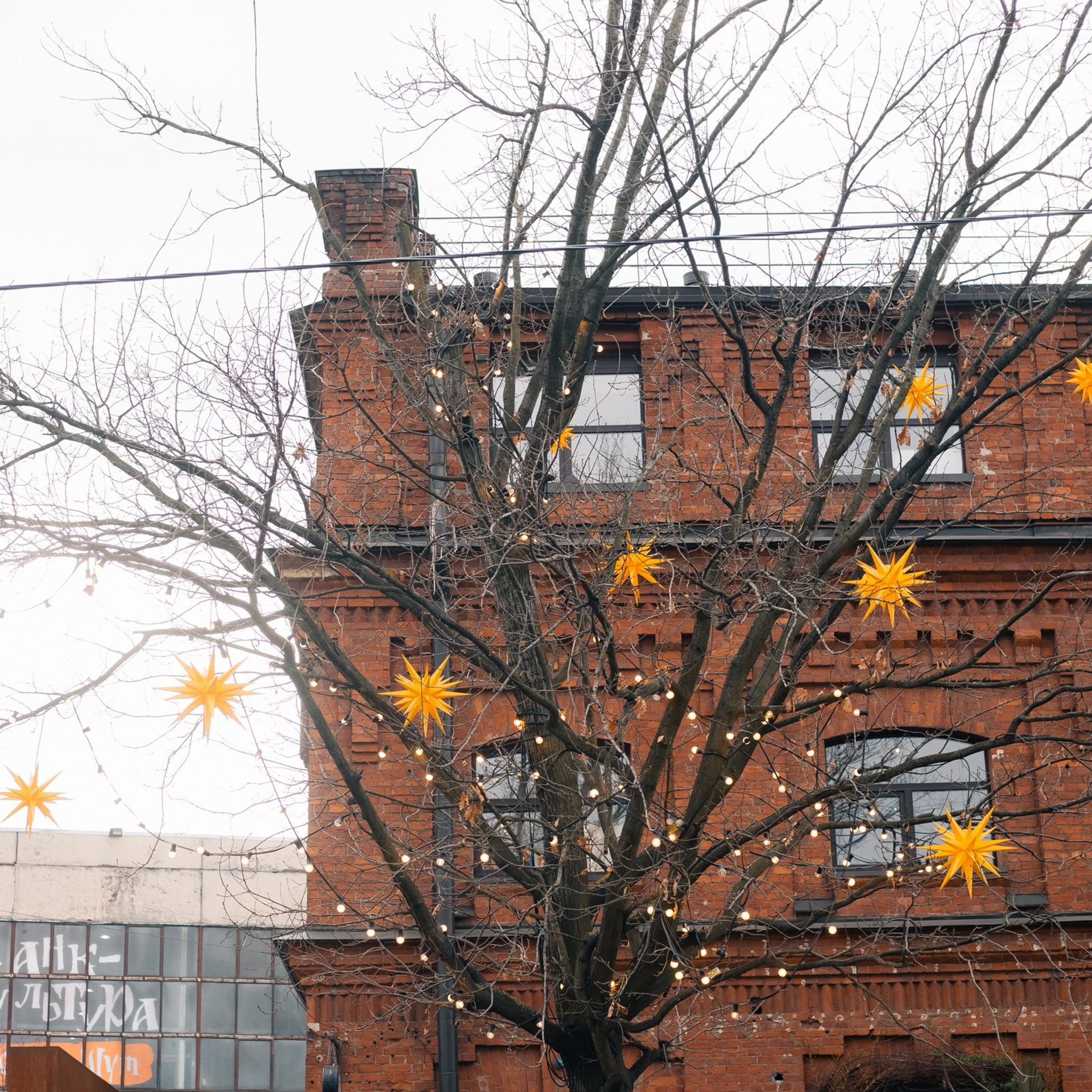 Отзывы. Фотограф в Санкт-Петербурге Шура Капустина