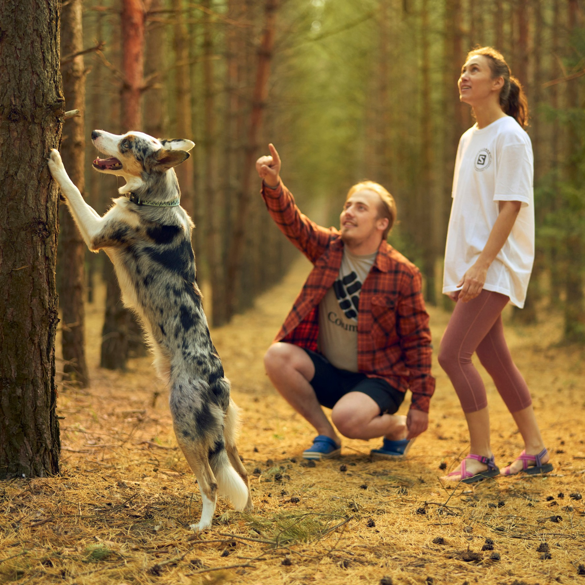 Northland и Outventure для Спортмастер