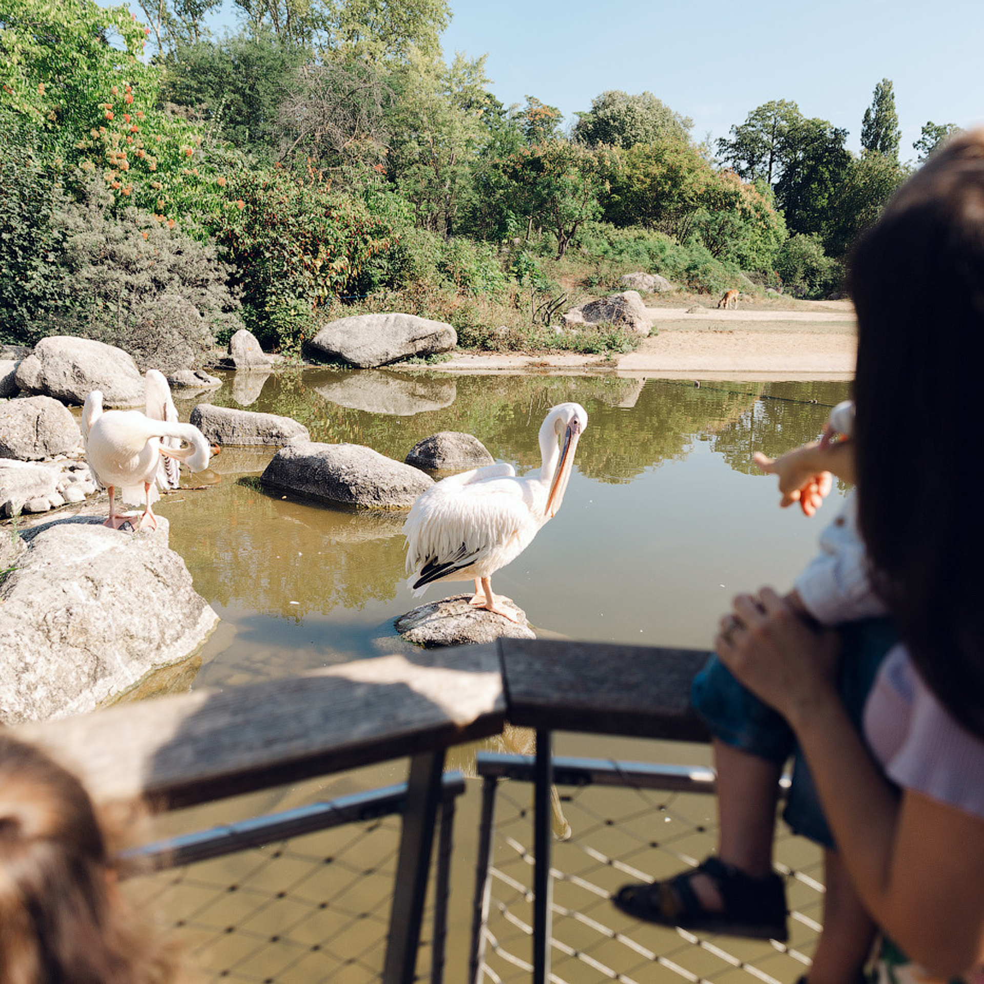 Отзывы. Свадебный и семейный фотограф Жукова Дарья, Нижний Новгород, Дмитров, Москва