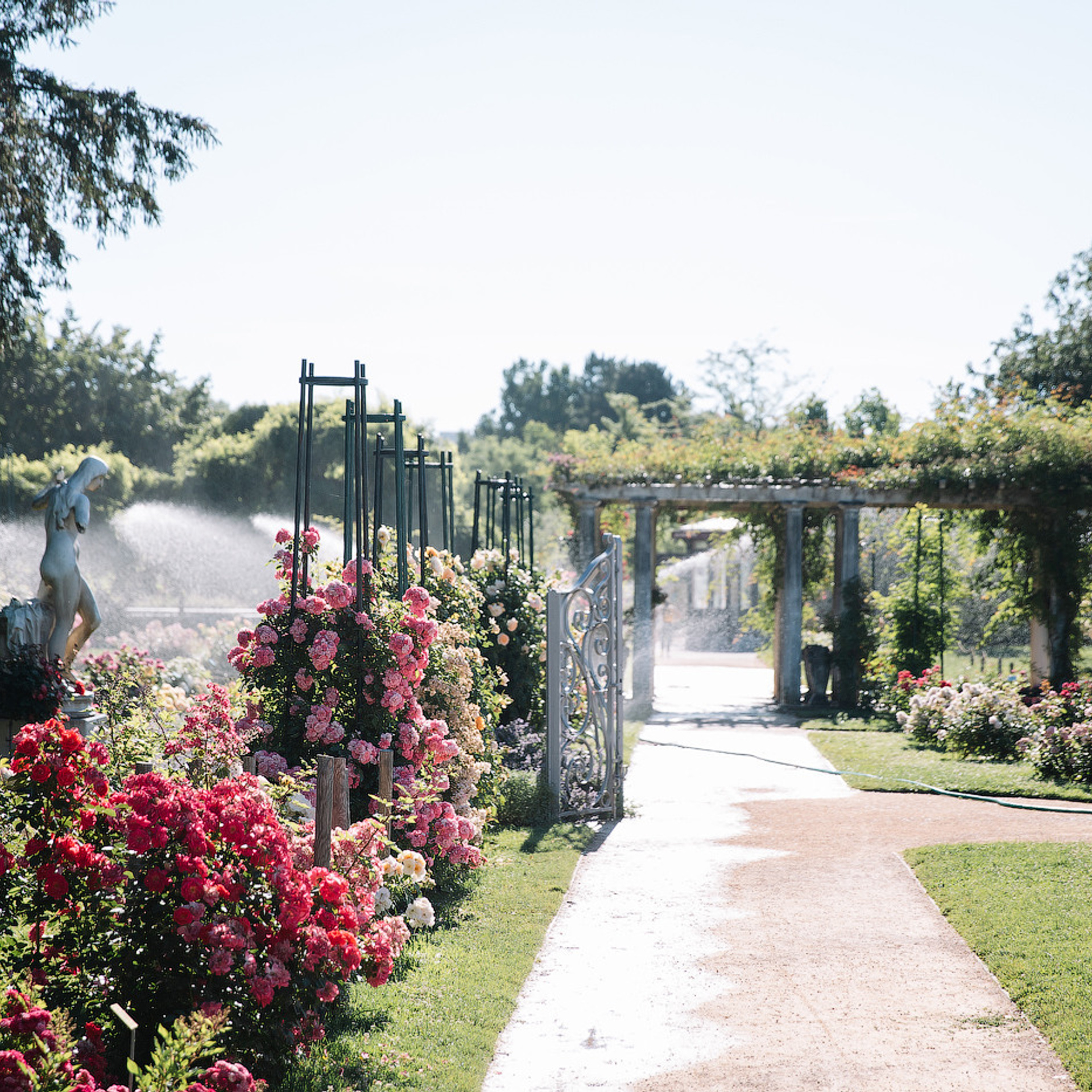 Отзывы. Свадебный и семейный фотограф Жукова Дарья, Нижний Новгород, Дмитров, Москва