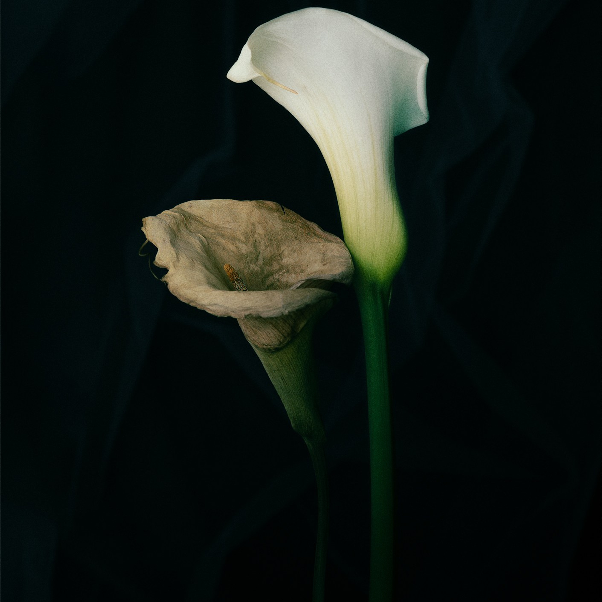 Mexico. Denis Borovskikh photographer fine art fashion