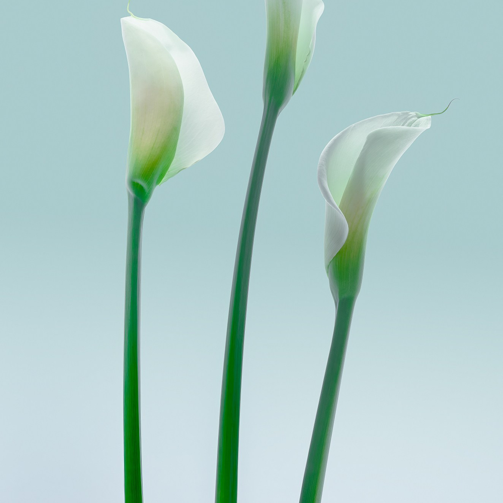 Mexico. Denis Borovskikh photographer fine art fashion