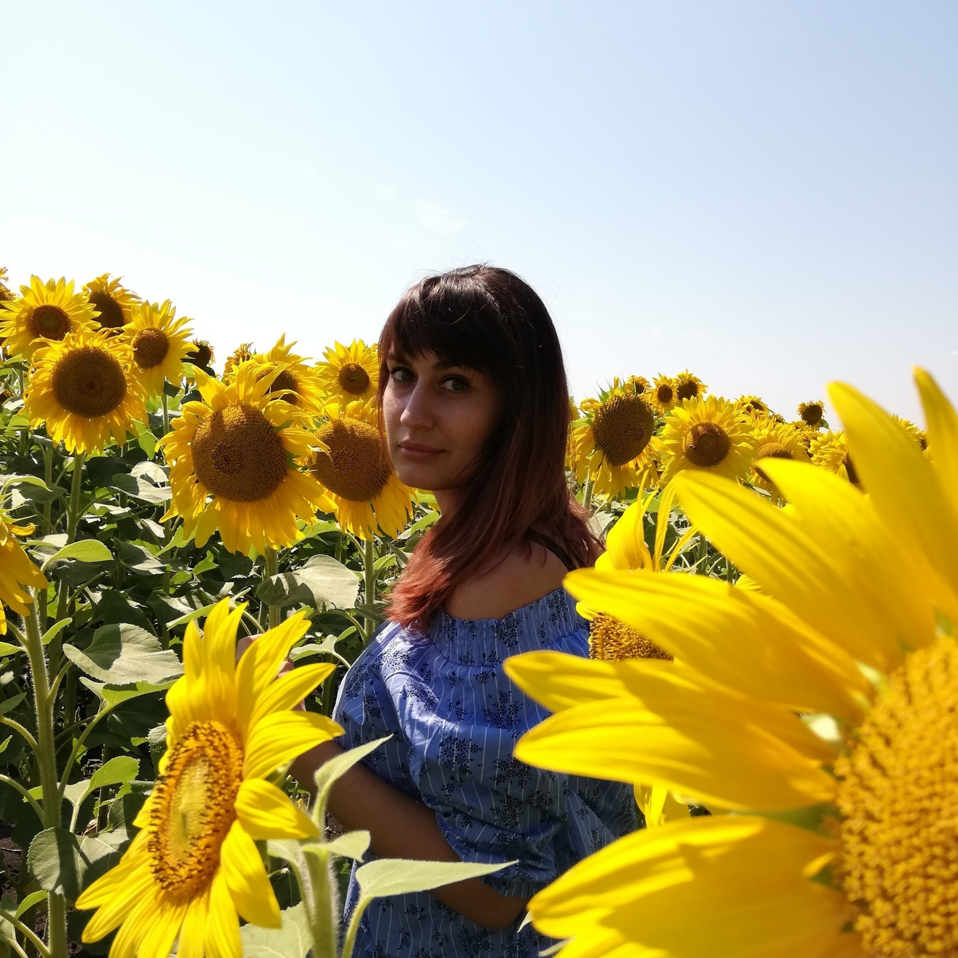 Отзывы. Z H U R A V L E V