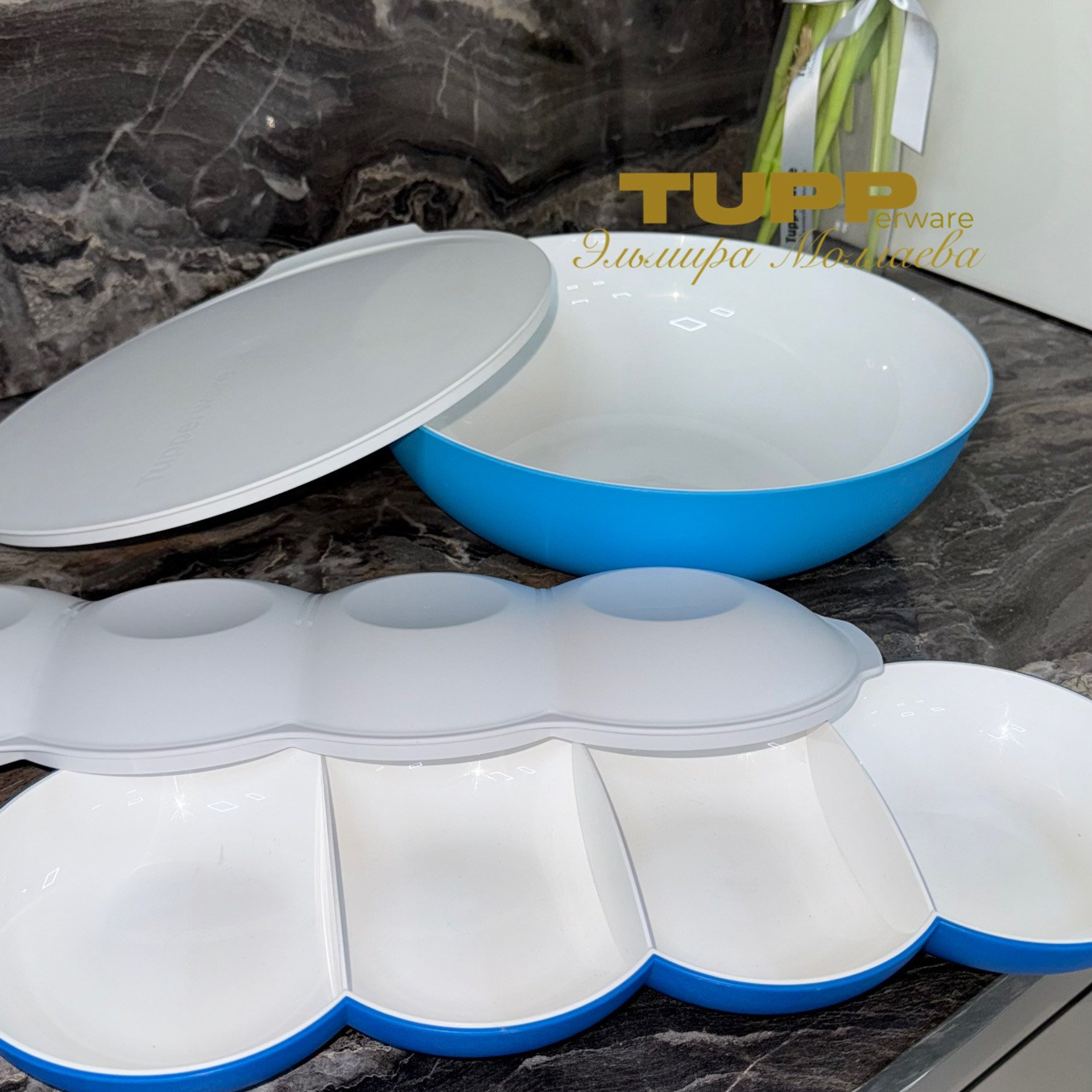 АЛЛЕГРО. Tupperware Mollaeva