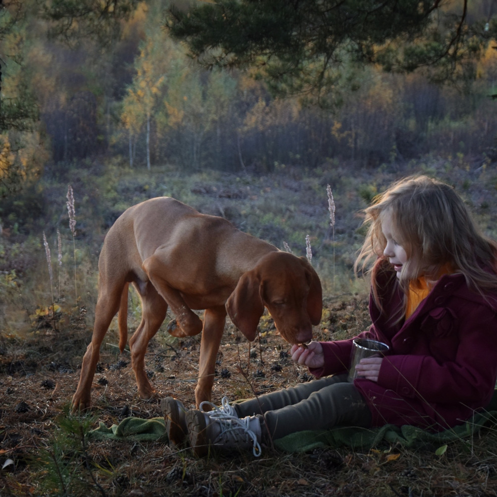 Отзывы. Семейный и детский фотограф