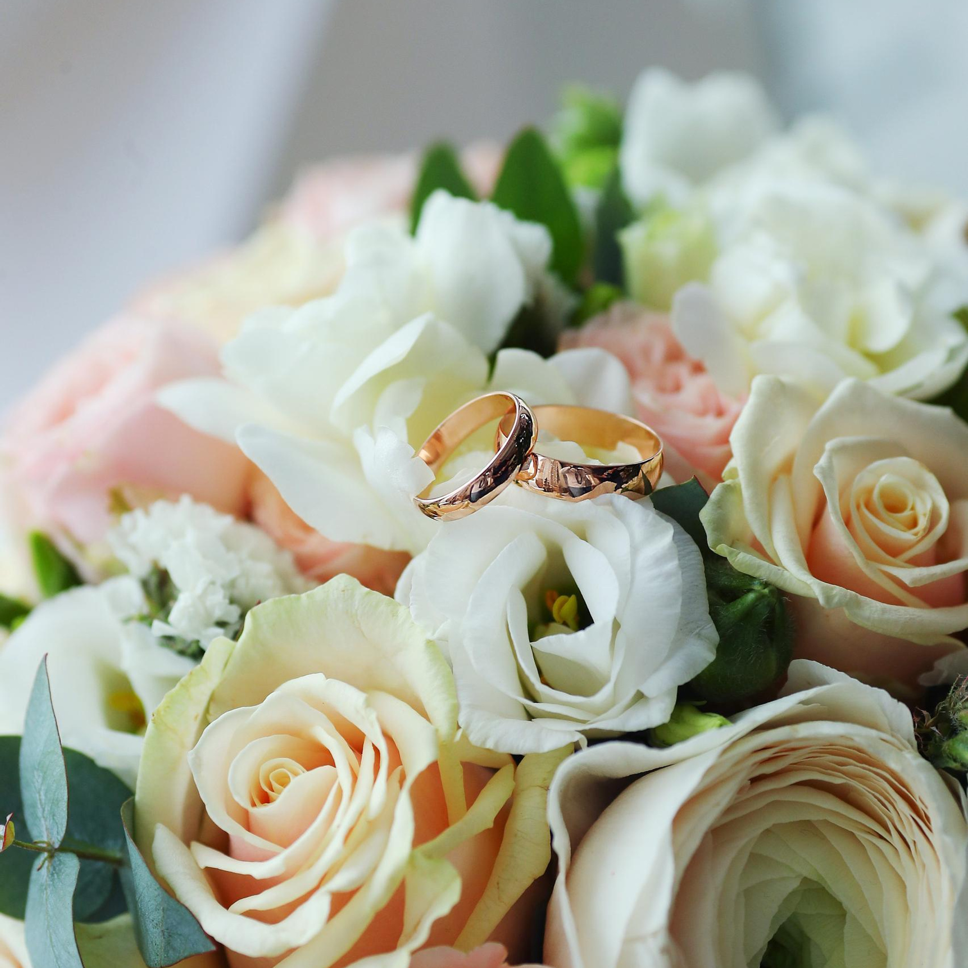 Отзывы о свадебном фотографе Никитин Дмитрий. Свадебный фотограф Никитин Дмитрий Раменское Жуковский Москва