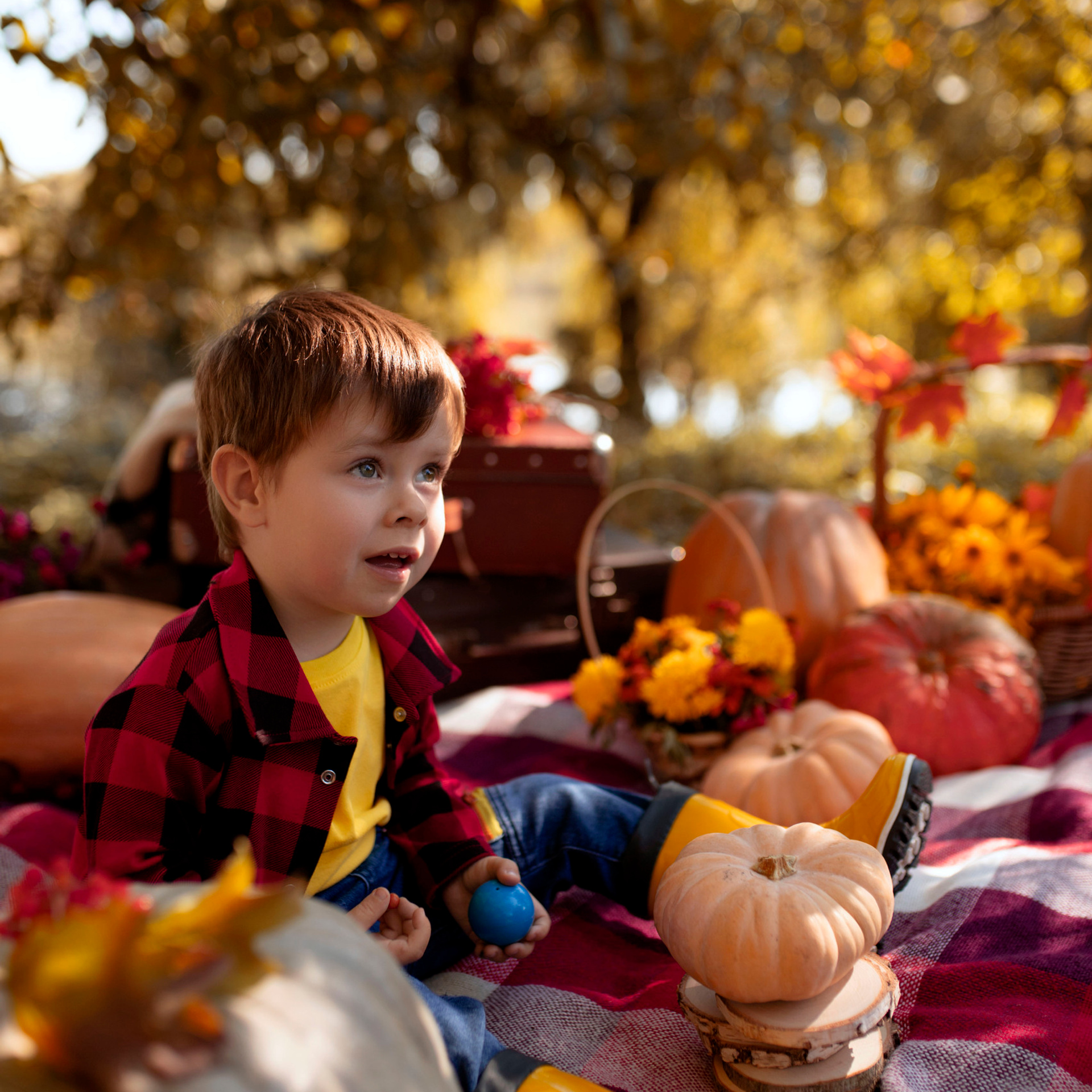 Отзывы. Главная