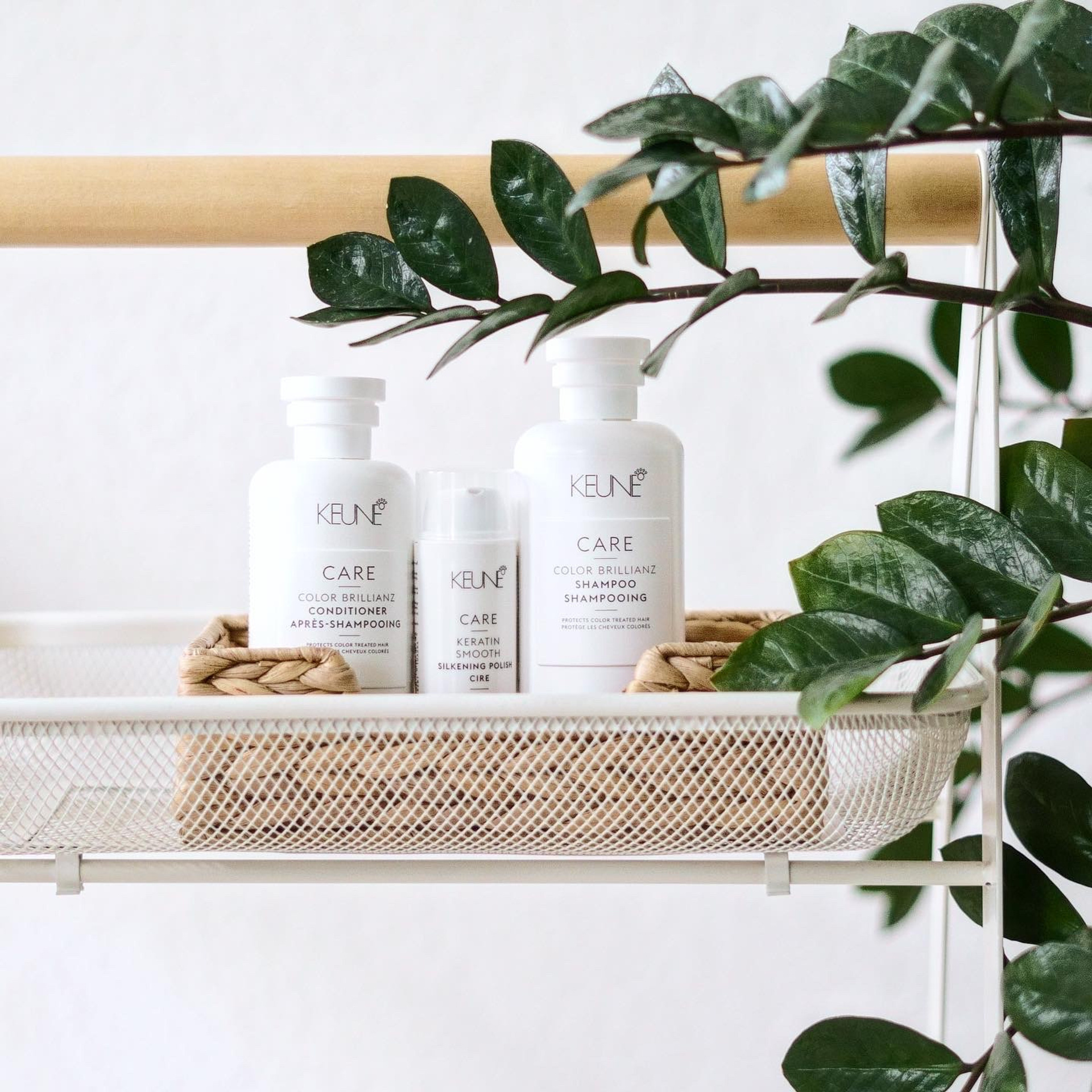 Контент для колориста