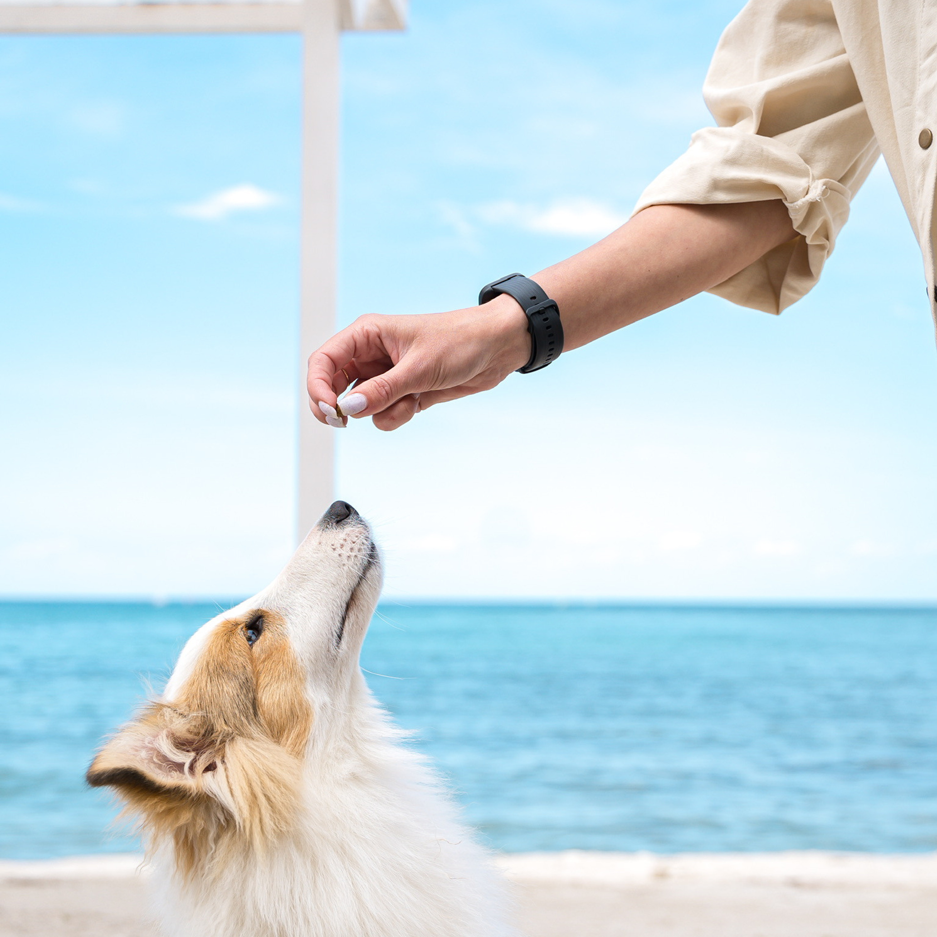 Анастасия. Кинолог, фотопрогулка.