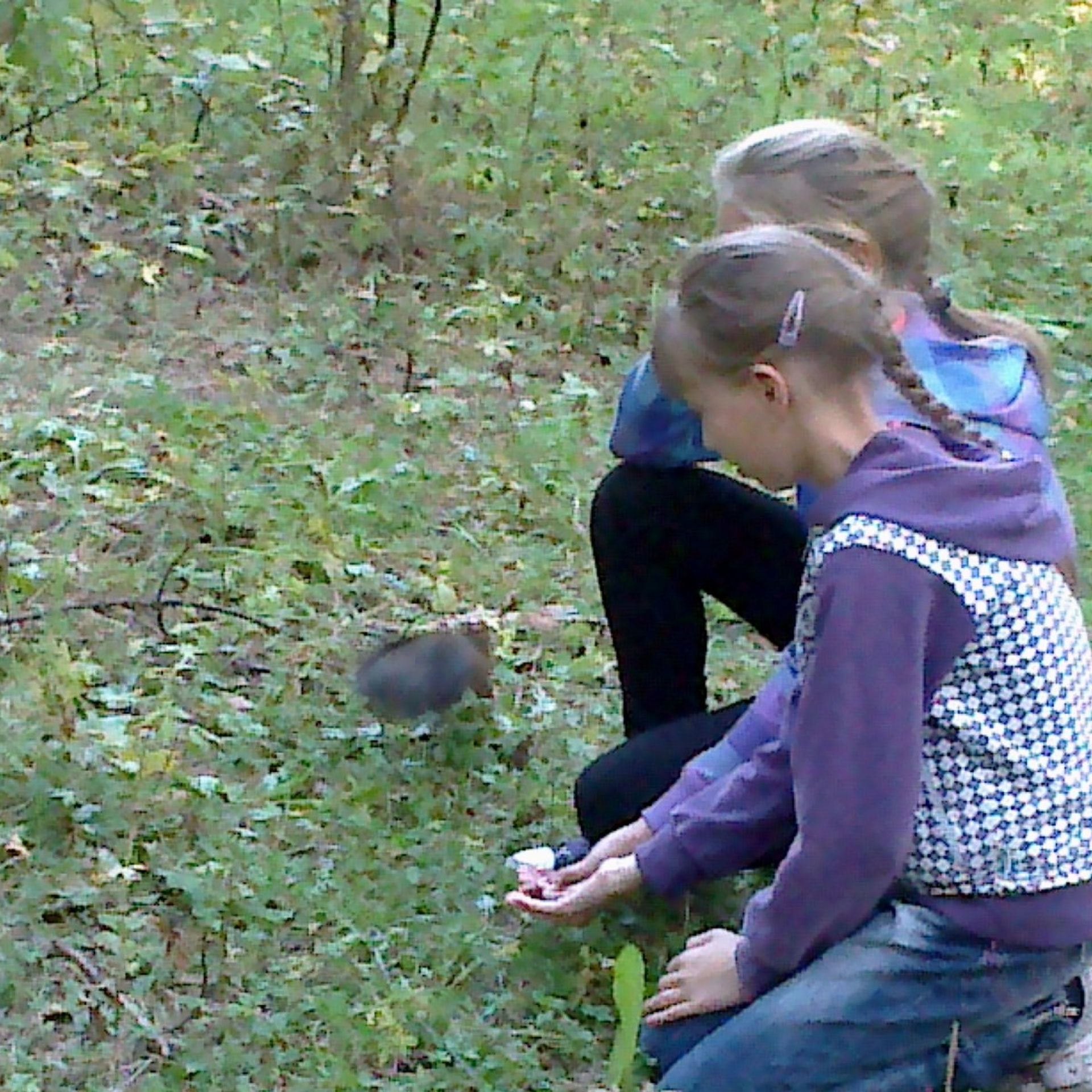 в лесу с Новак 09.09.2011