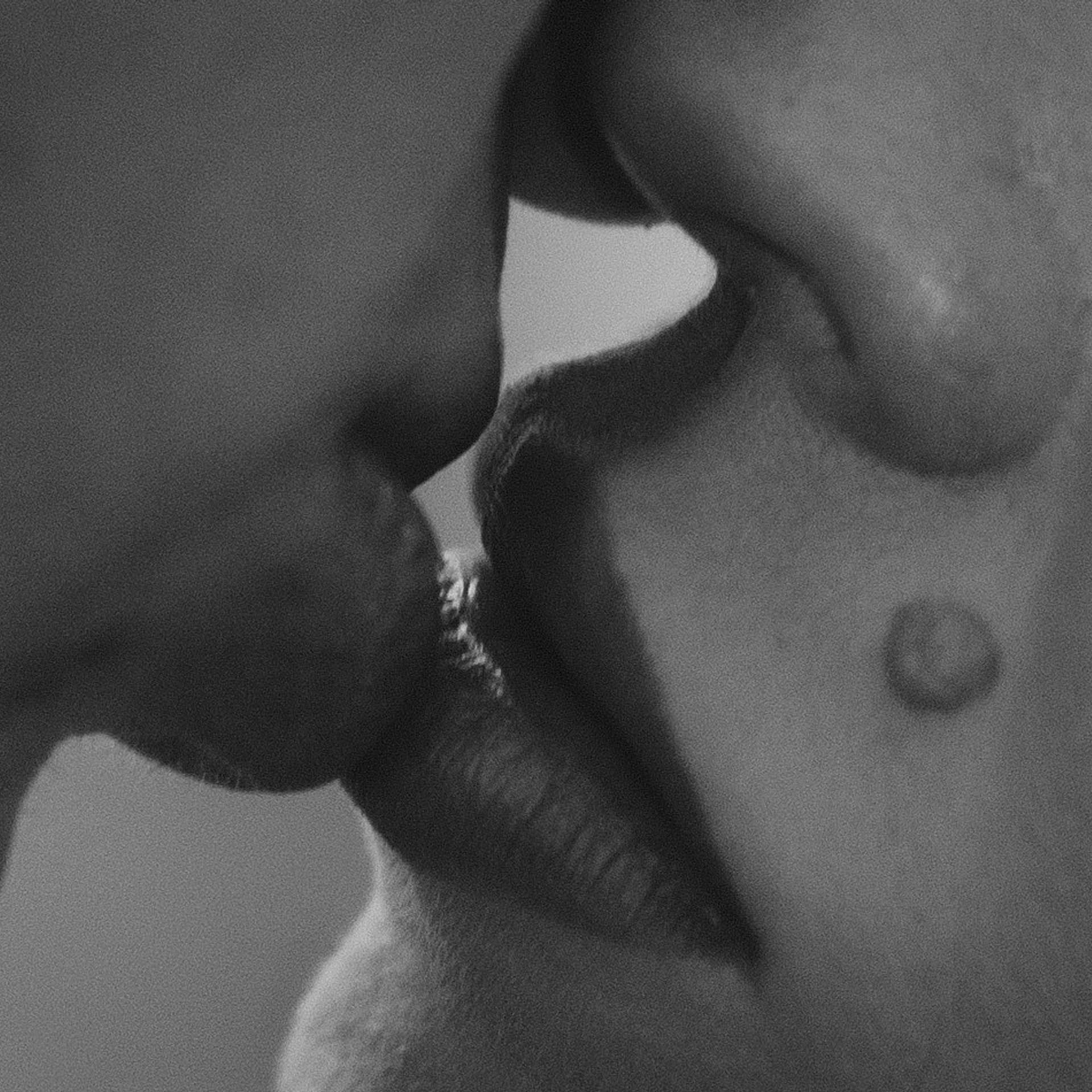 Отзывы. ФОТОГРАФ РОЗА ФИЛИНА СПб I МОСКВА