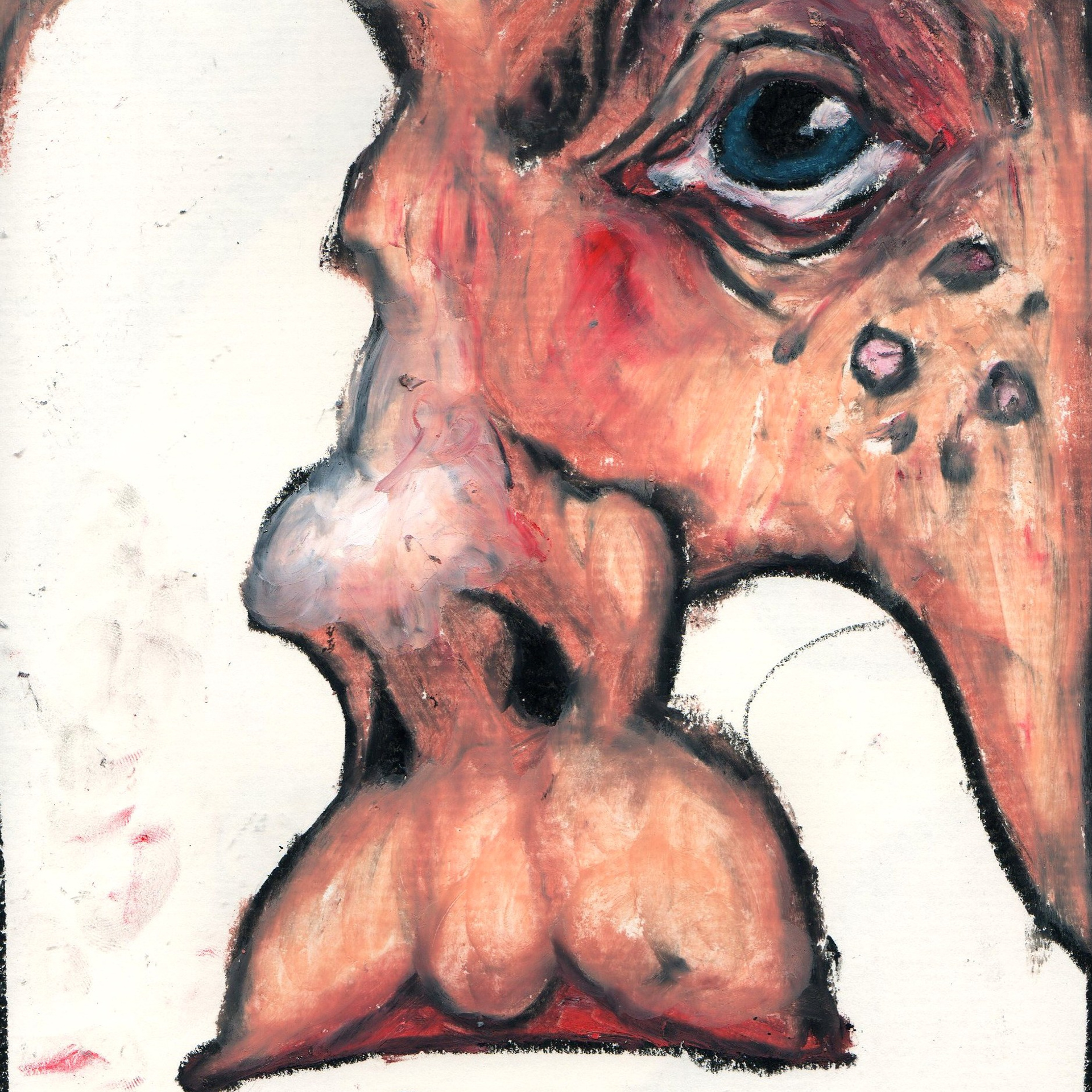 Graphics and paintings. Ksenia Markelova, multidisciplinary artist, Yekaterinburg