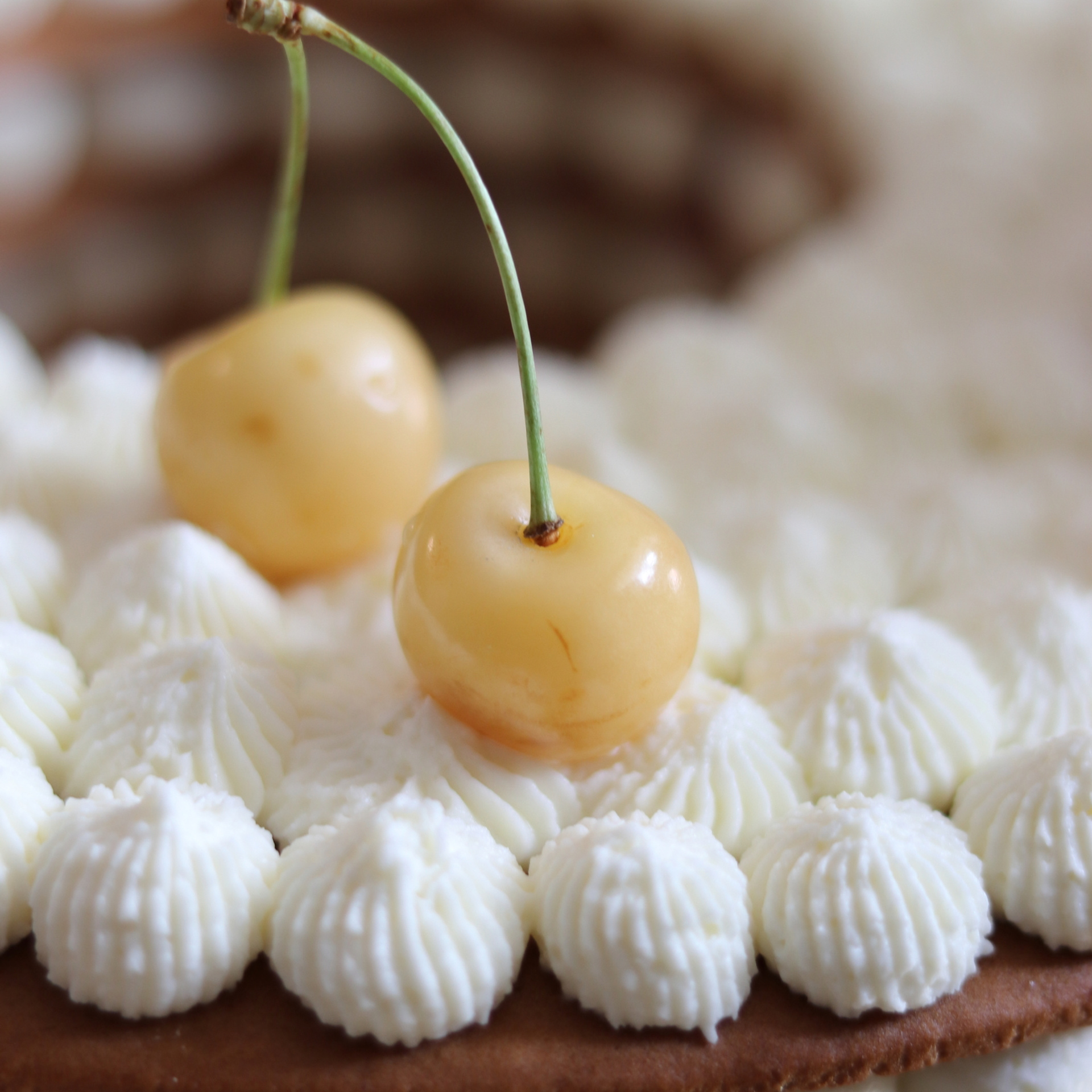 Торт со свежими ягодами.