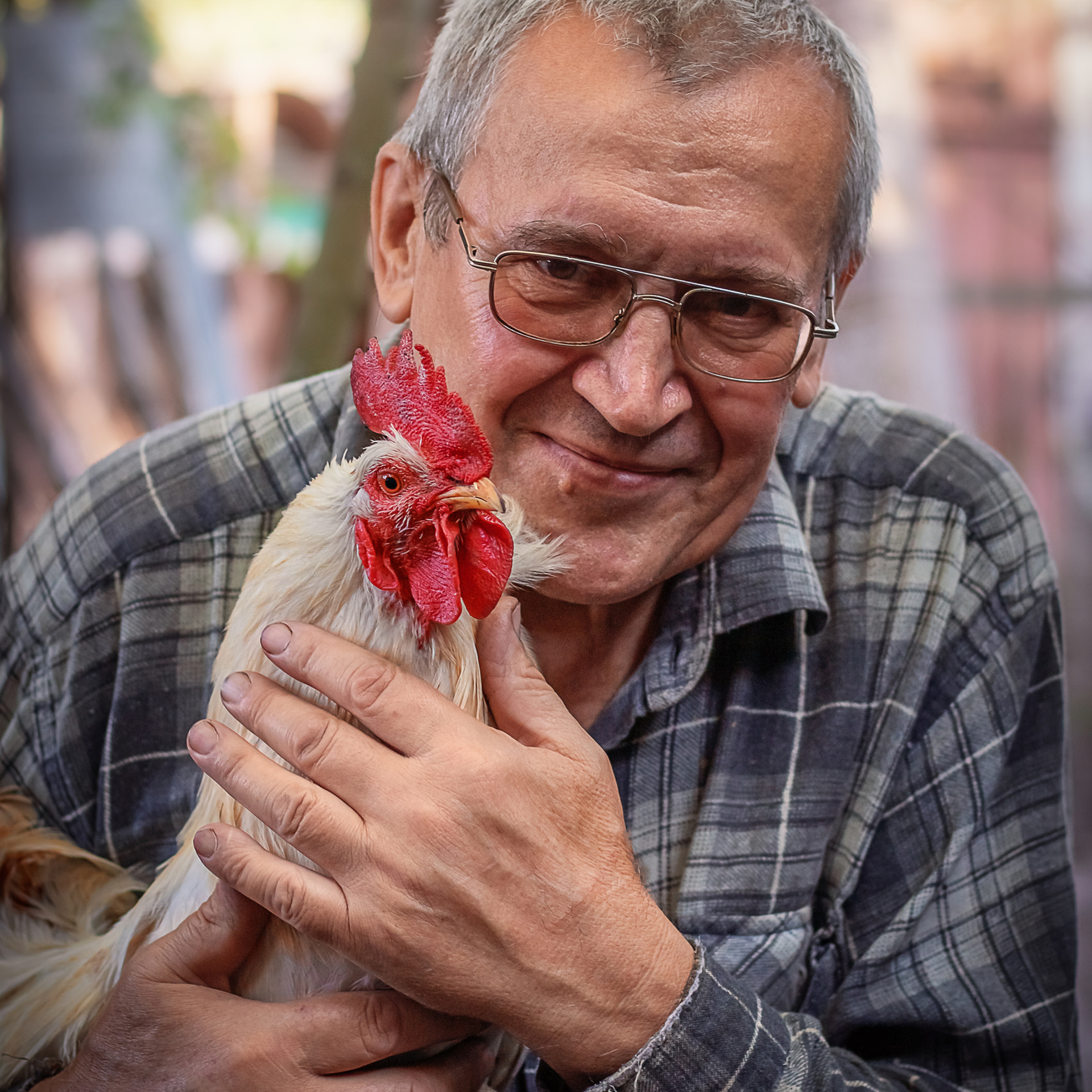 Дед с петухом. Мужской портрет.