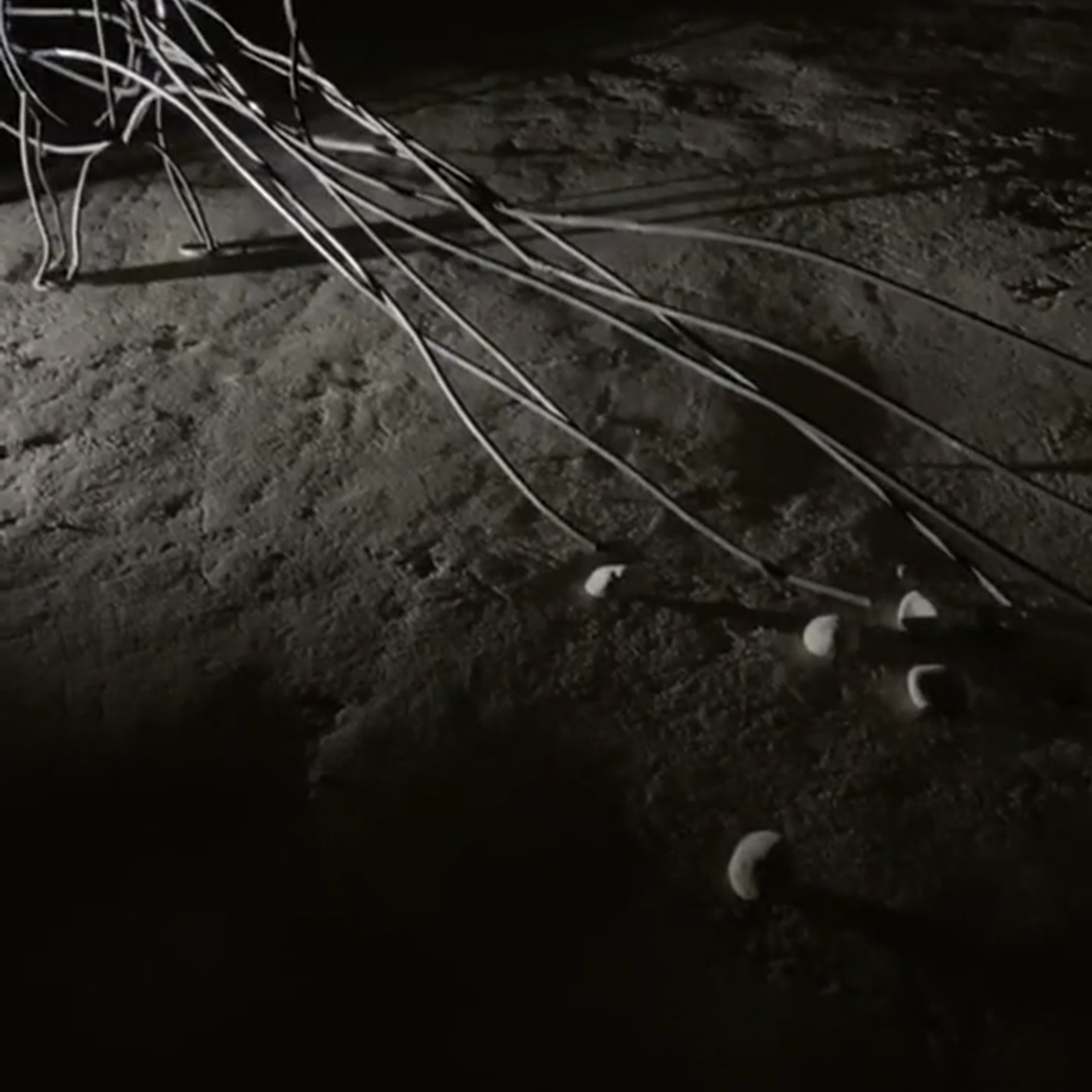 Погружение _2021. Художник — скульптор Антонина Фатхуллина