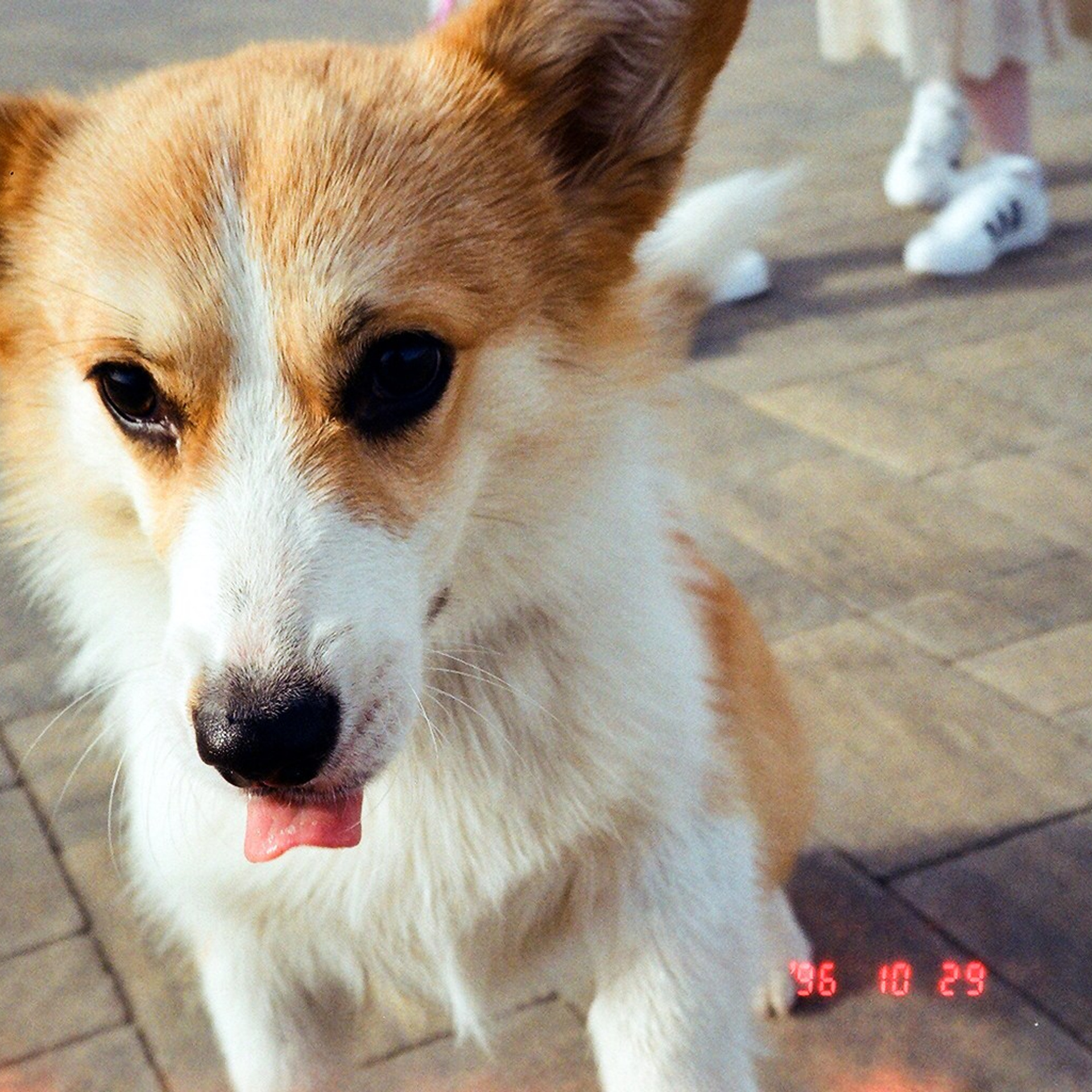ПЛЕНКА. EFIMOV IN SPACE — свадебный фотограф