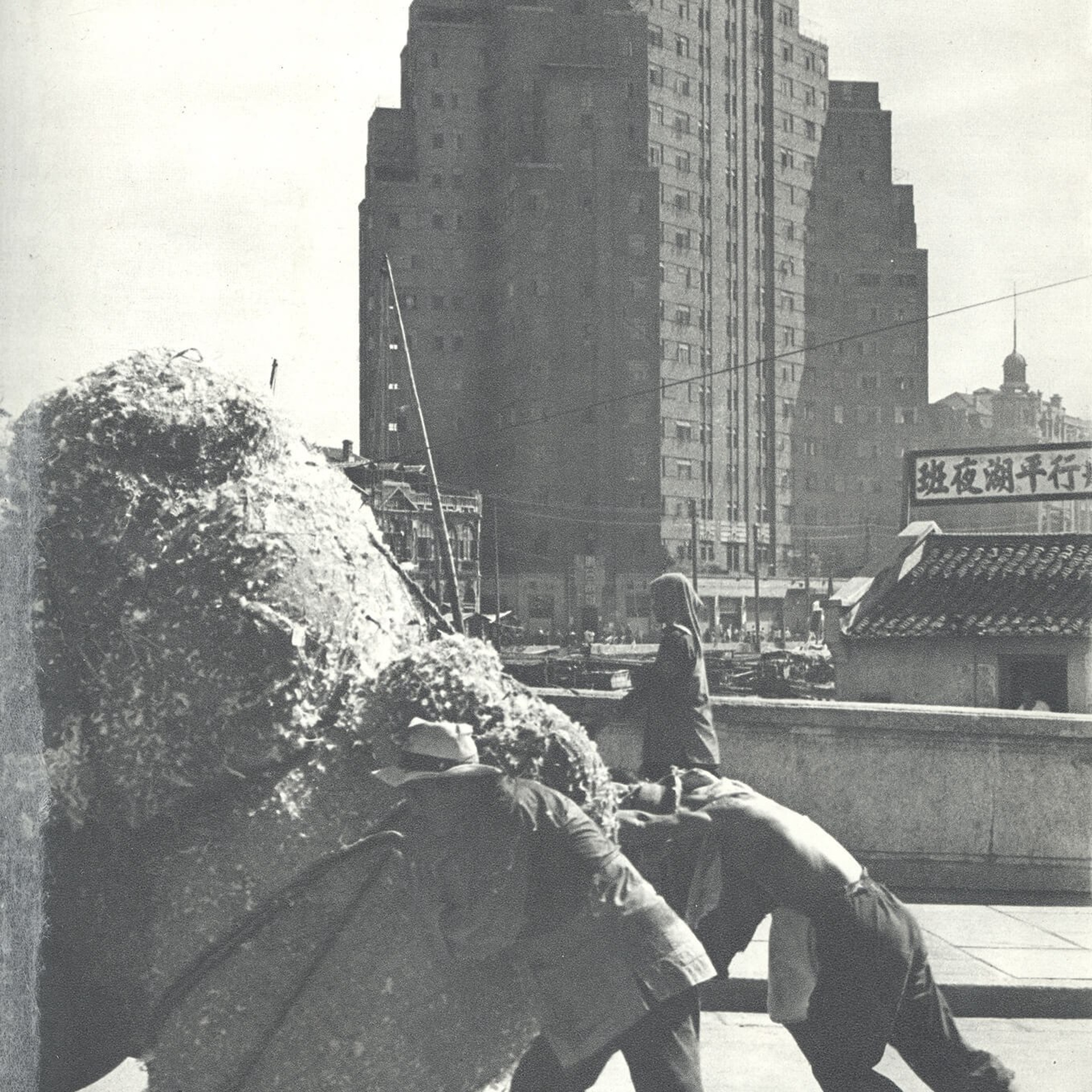 Анри Картье-Брессон — биография и альбомы известного фотографа. ТУРМАЛИН ТАНЯ ЖЕНСКИЙ ФОТОГРАФ В МОСКВЕ