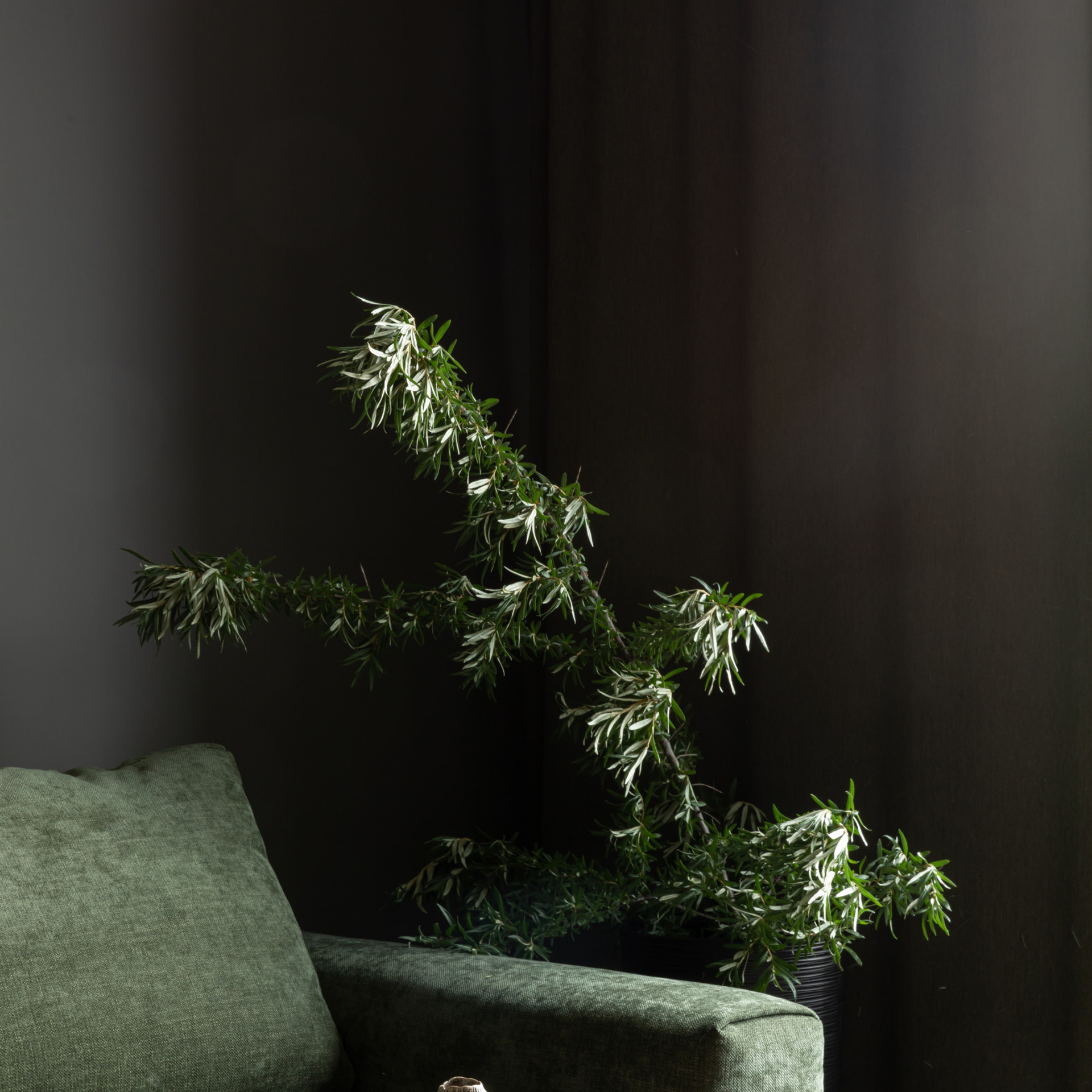 Отзывы. Наталья Мавренкова интерьерный фотограф, декоратор в Санкт-Петербурге