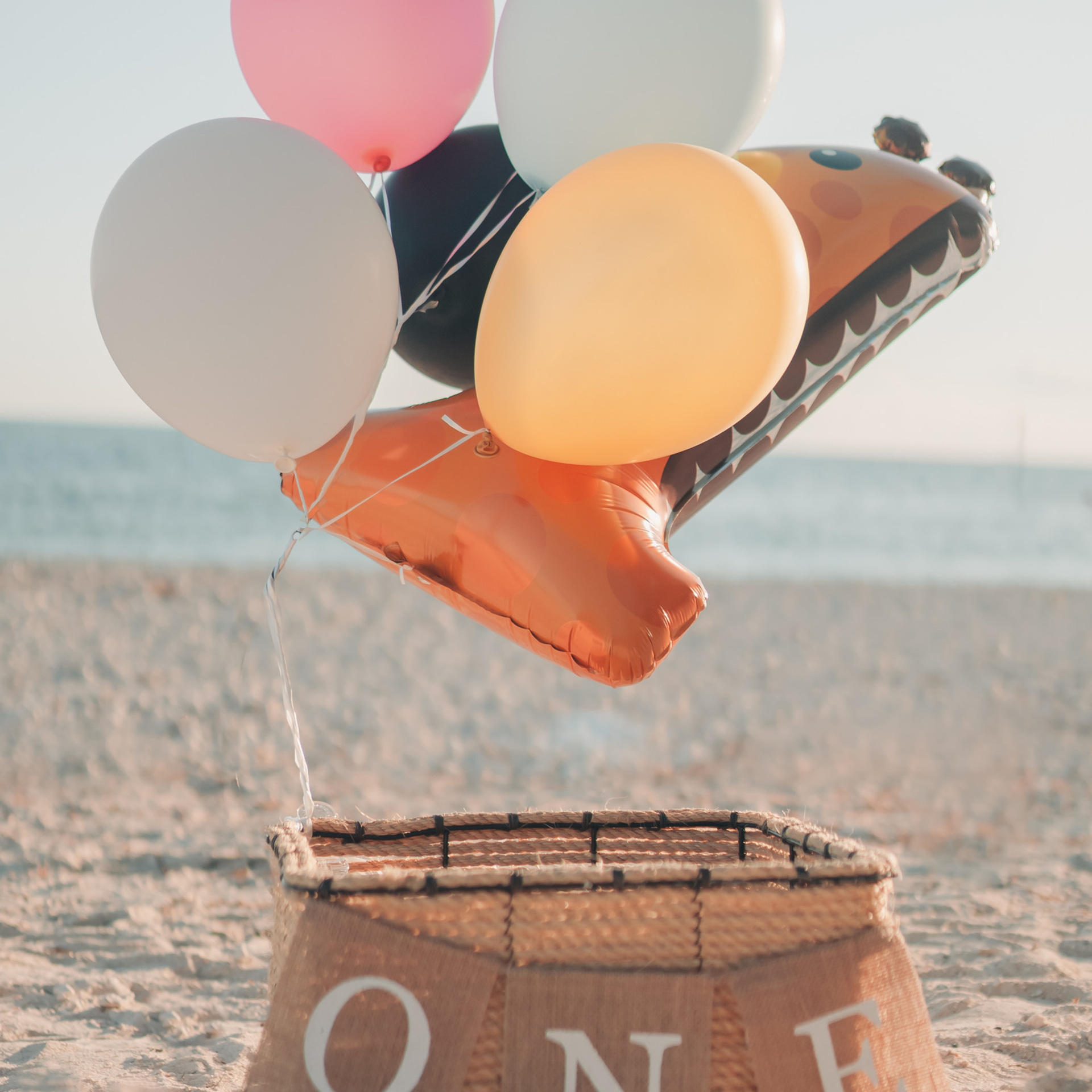 Testimonials. Gaukhar Baimagambet — Photographer and Videographer