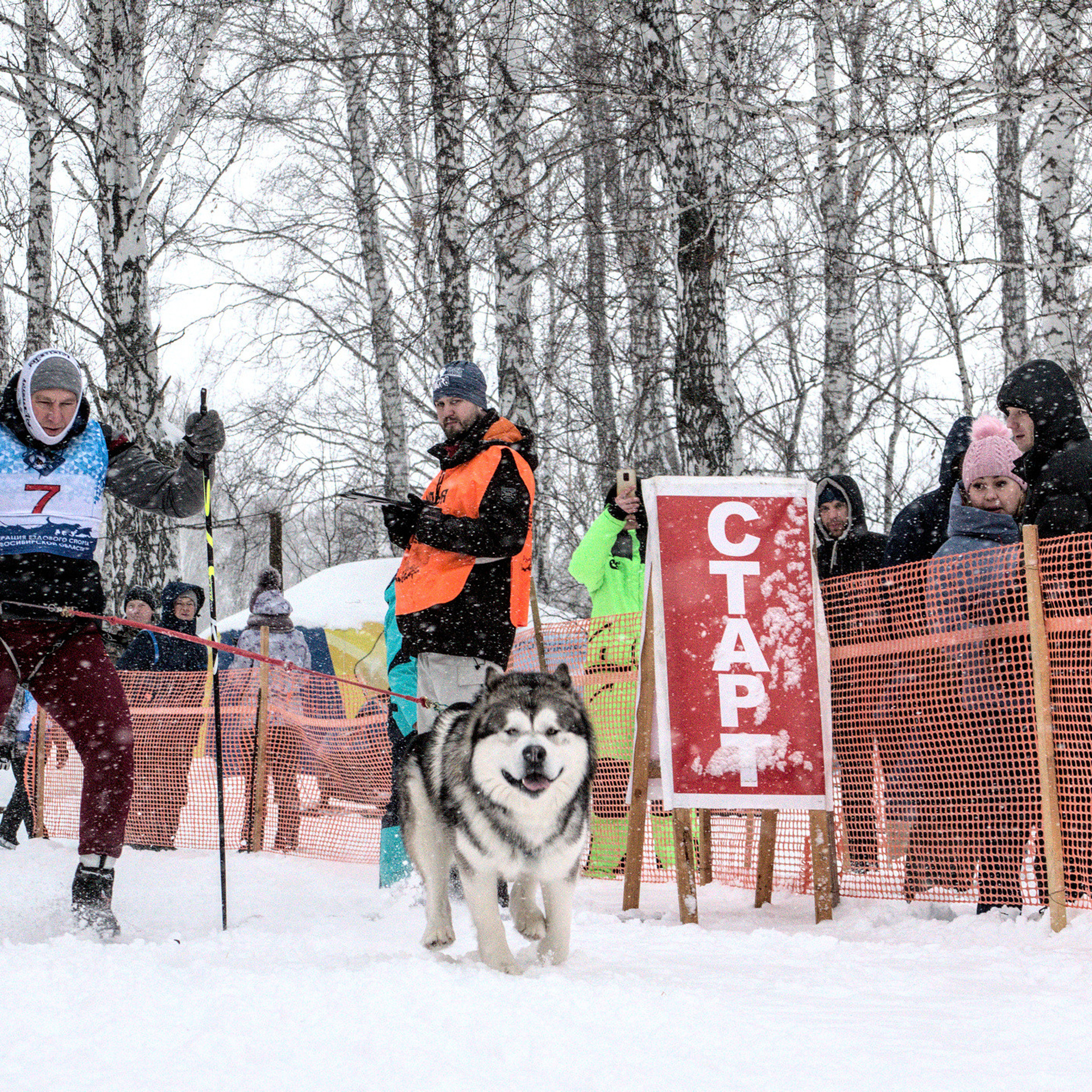 Ездовой спорт