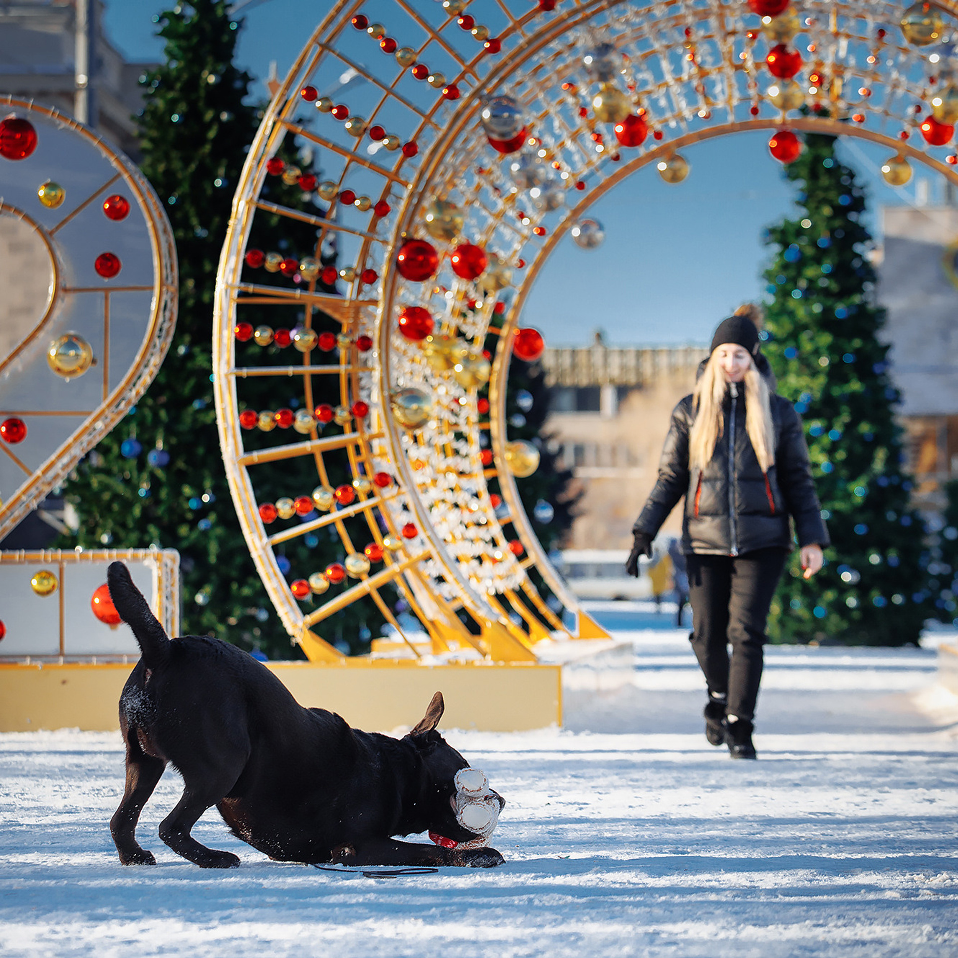 Клиентам. Фотограф-анималист Саша Вязьмина
