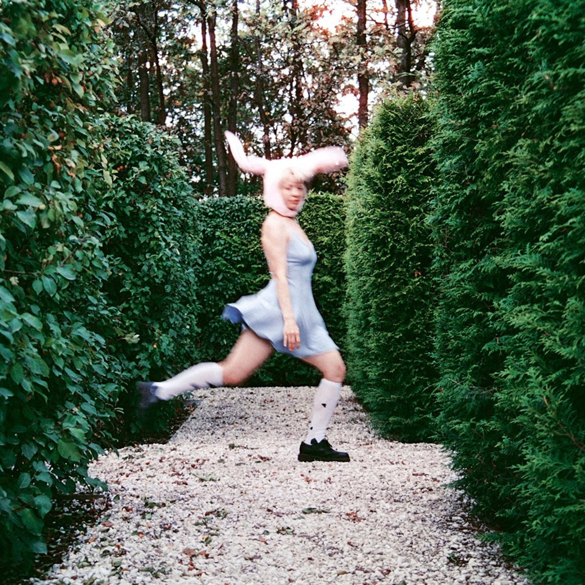 Беги, кролик, беги