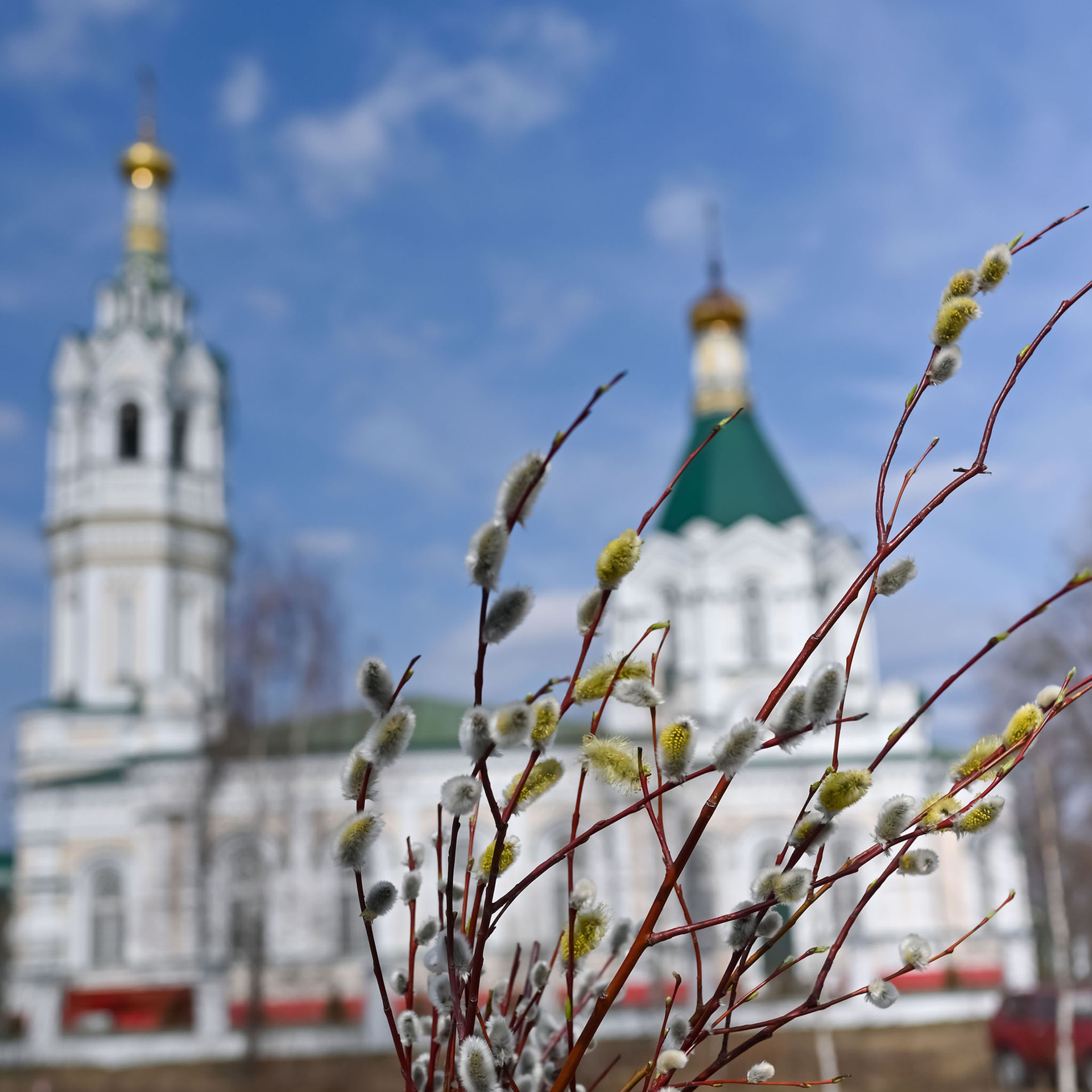 Отзывы. Семейный фотограф в г. Воскресенск Наталия Молева