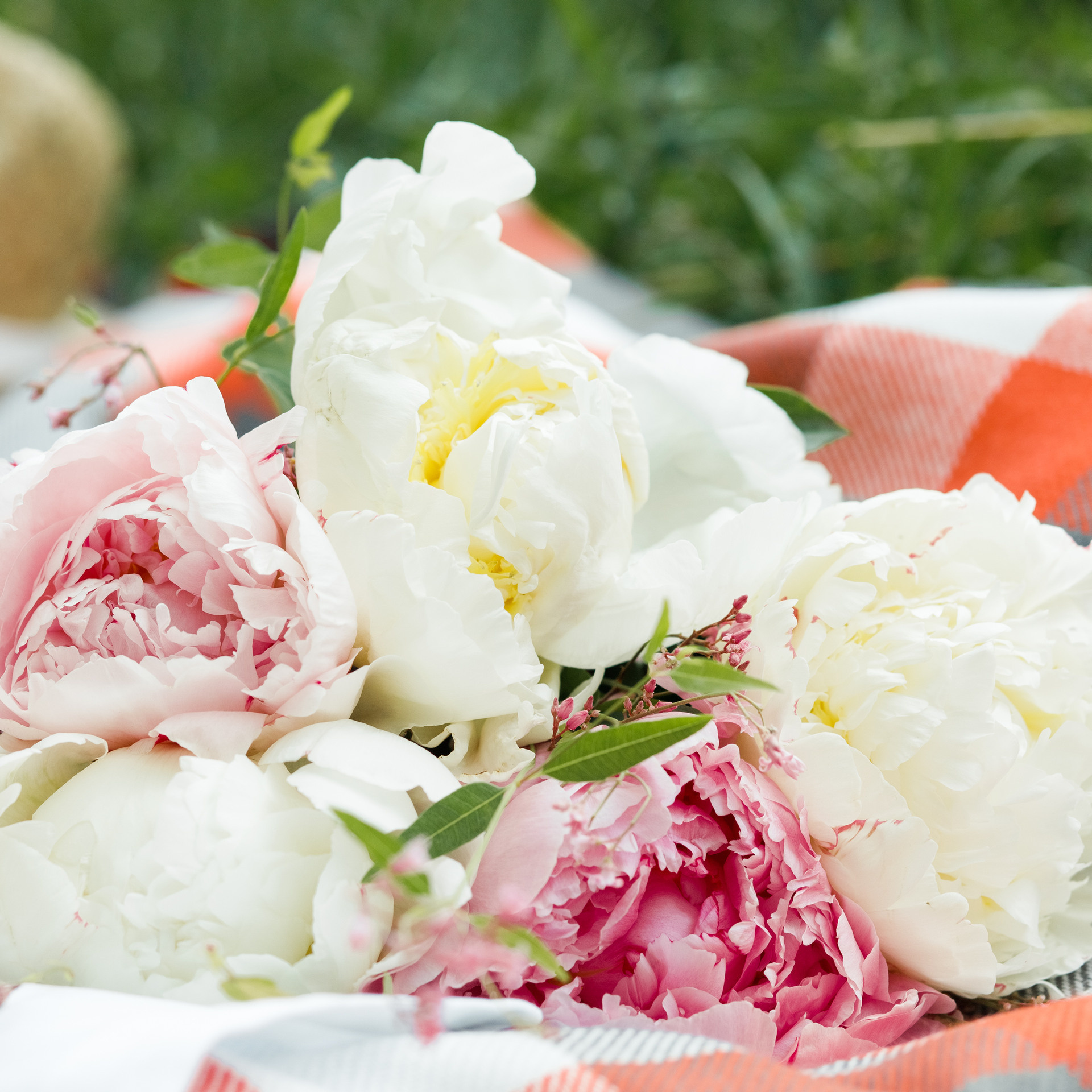 Отзывы. Фотограф в Алматы