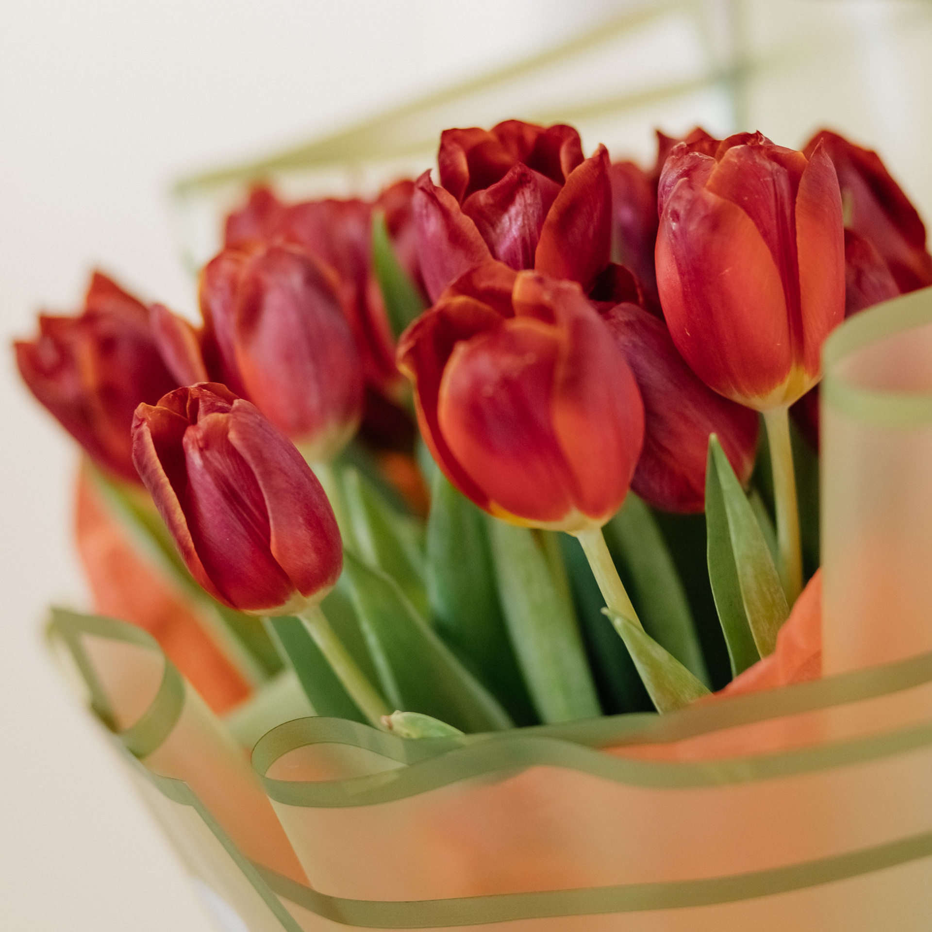 Отзывы. Фотограф в Алматы