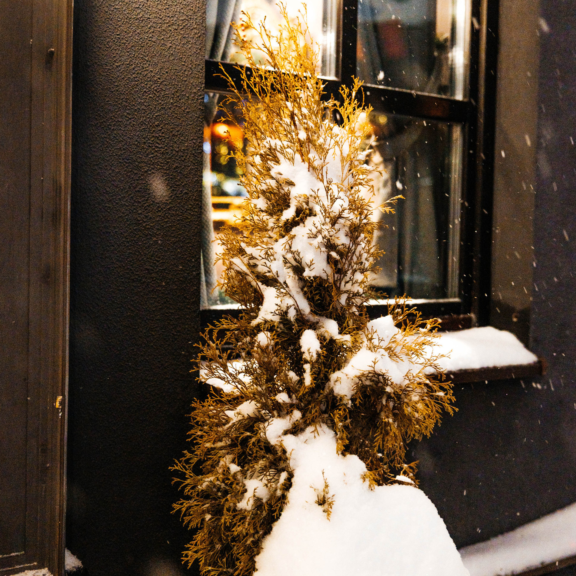 Отзывы. Свадебный фотограф Минск РБ