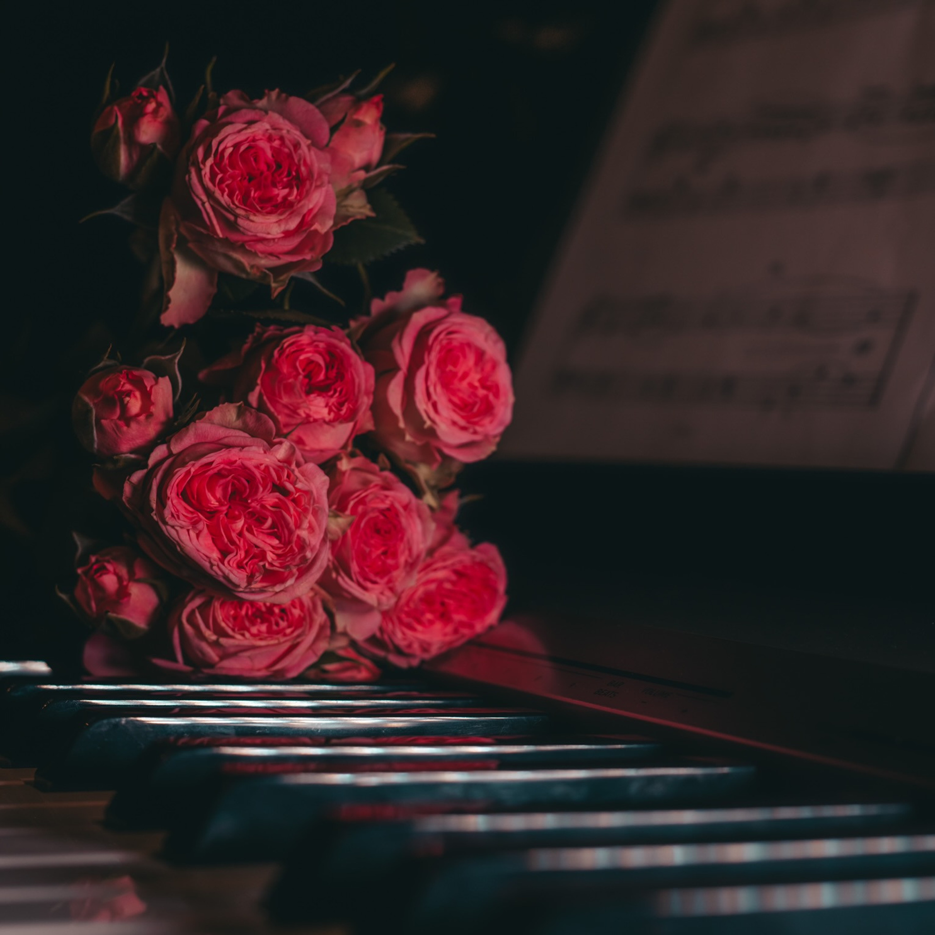 Отзывы. Предметный фотограф. Ростов-на-Дону. Марина Беликова