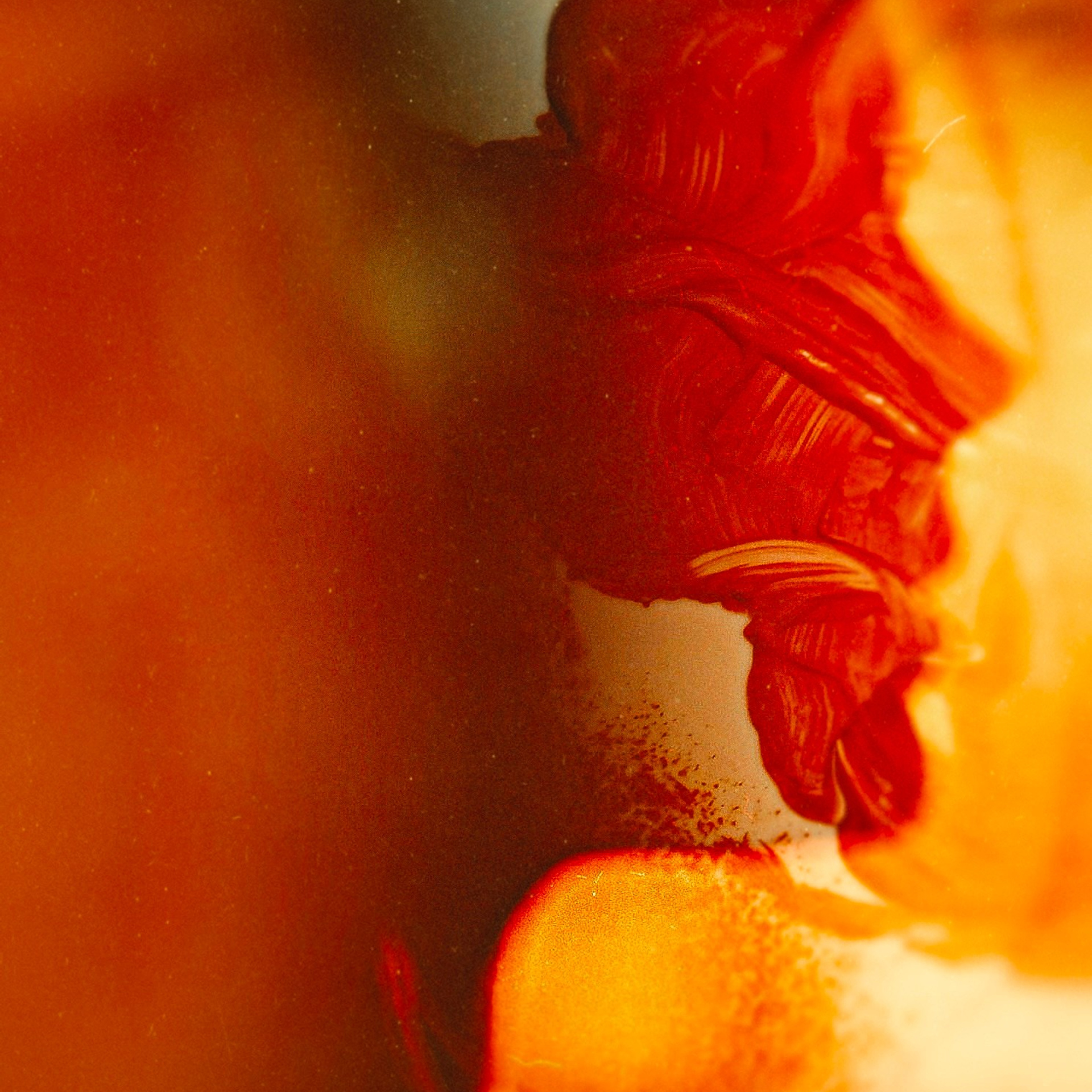 SUN. I MISS YOU…. Ширяева Ольга