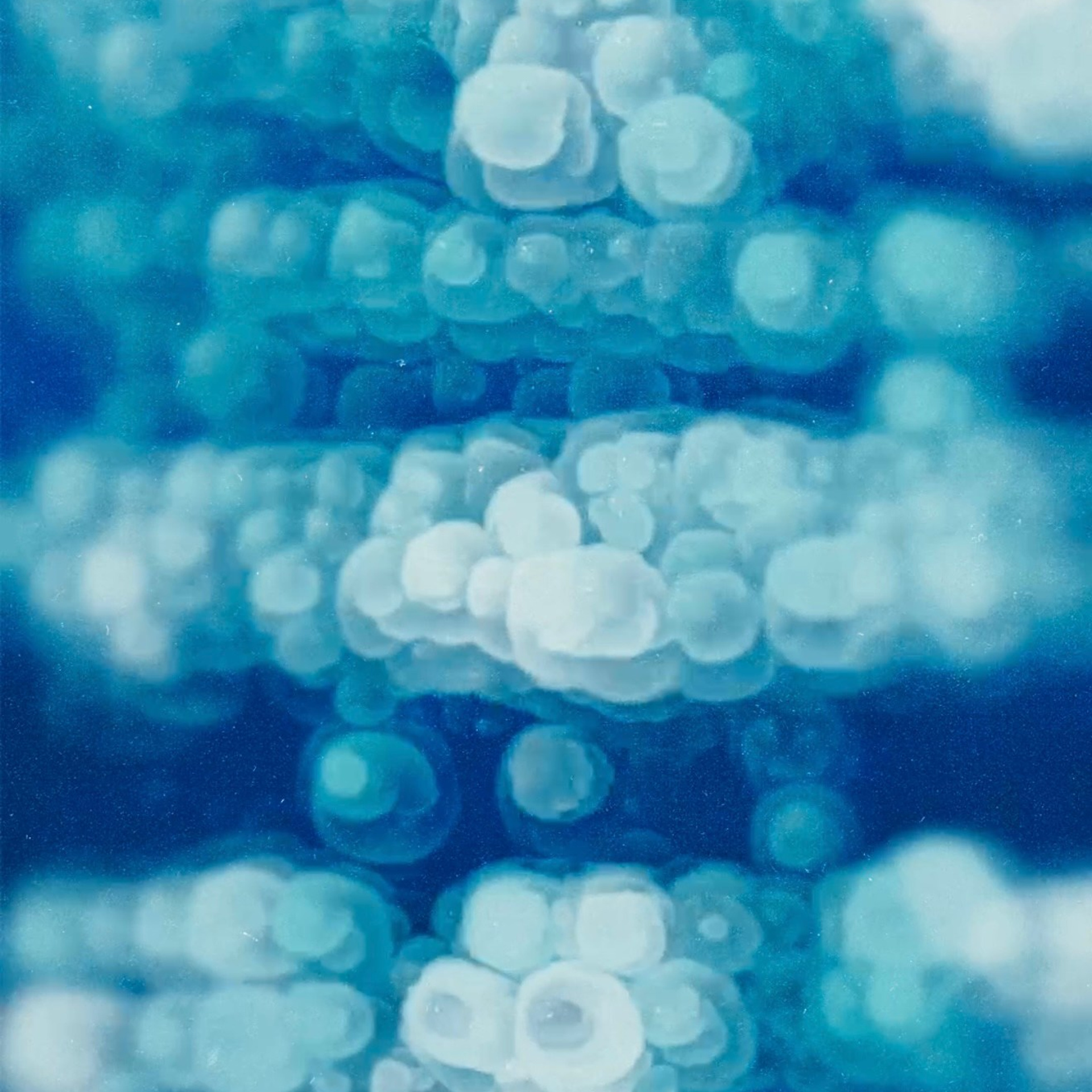 MY BLUE. Ширяева Ольга