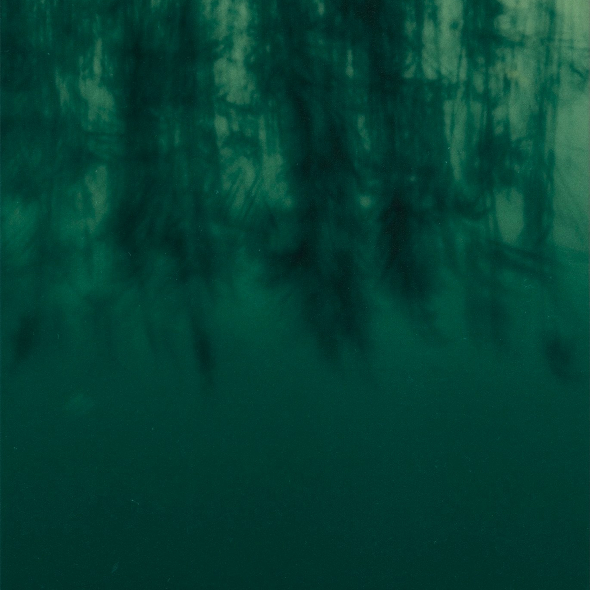 GREEN GREEN WORLD. Ширяева Ольга