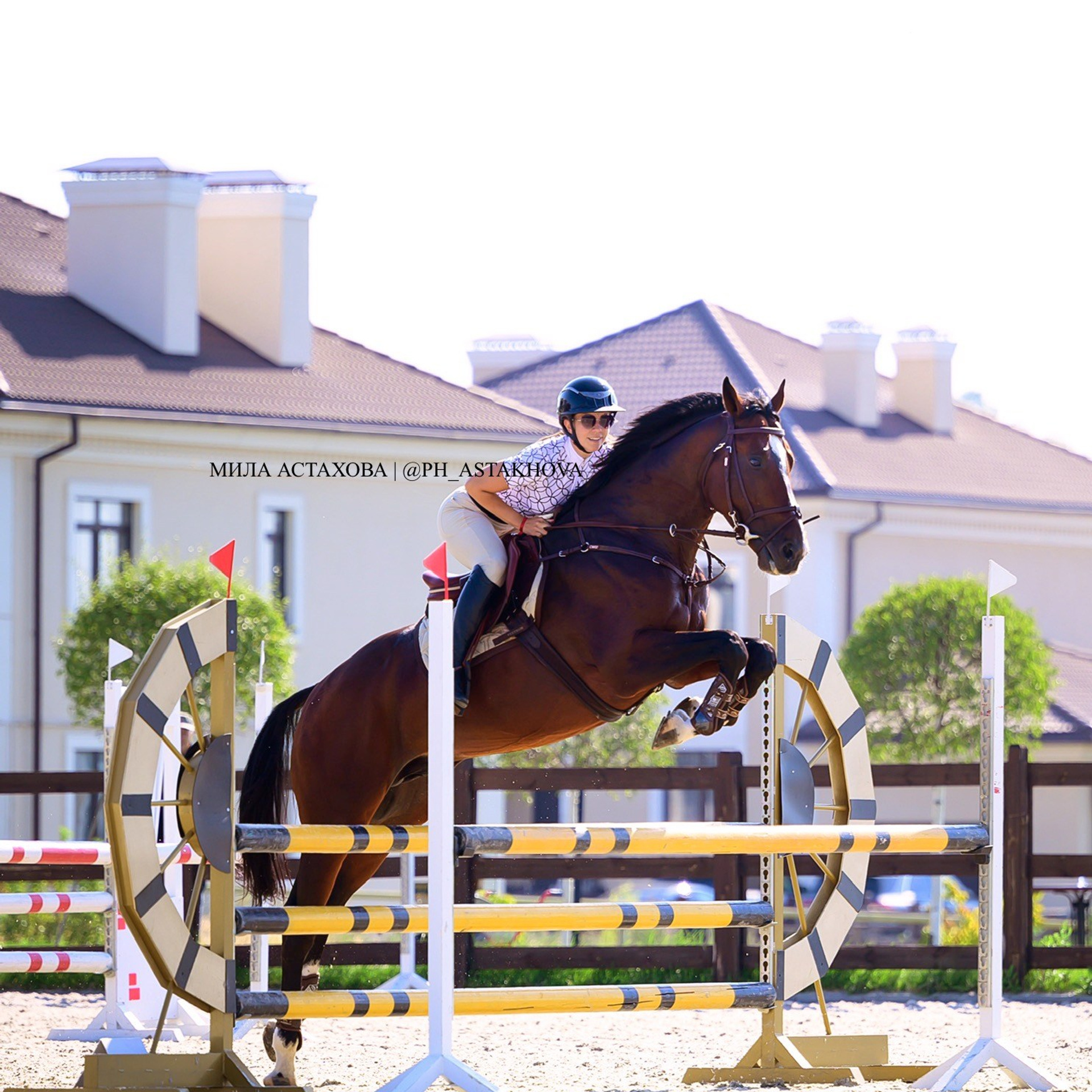 ДАРЬЯ И РЮРИК