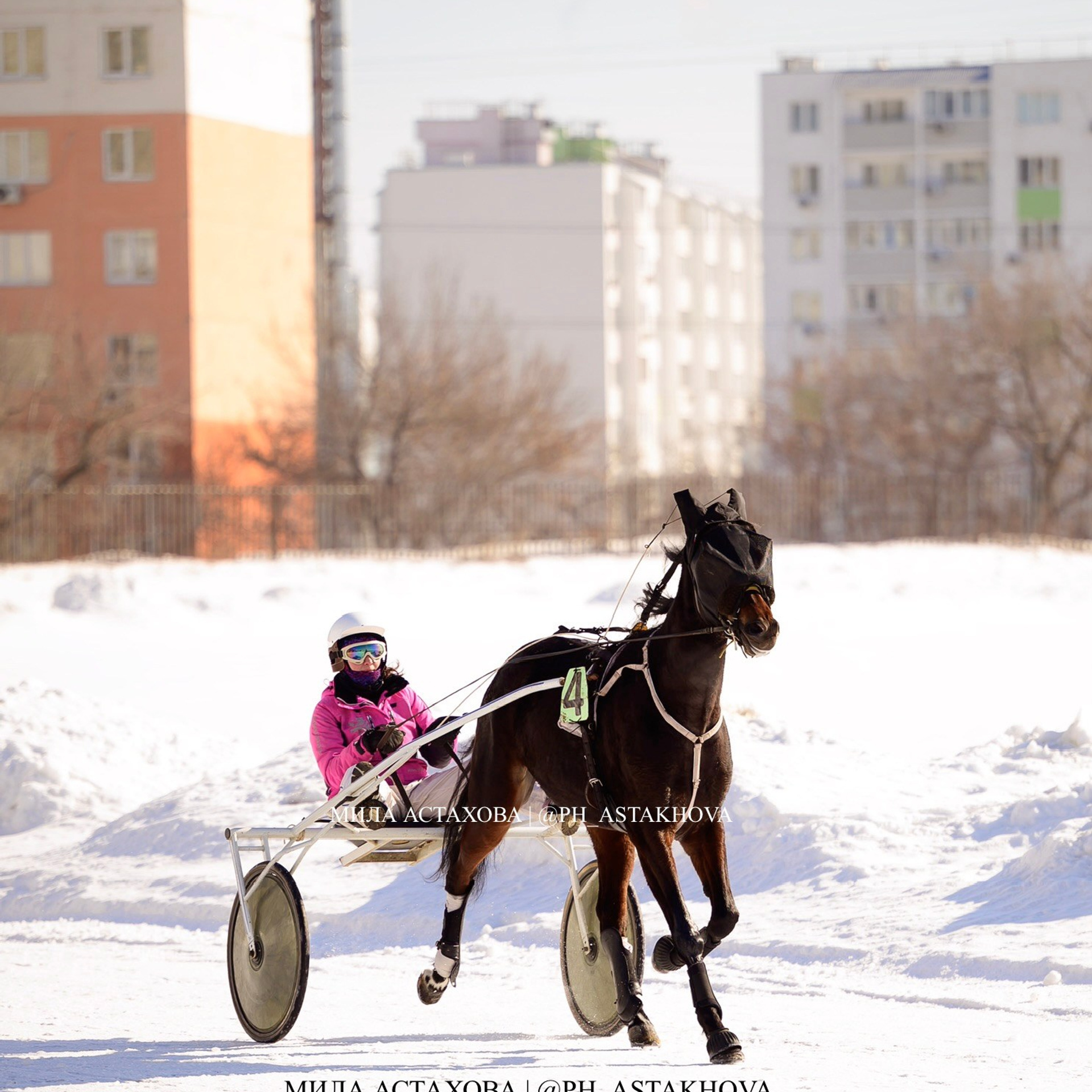 Рысистые бега, Саратовский ипподром