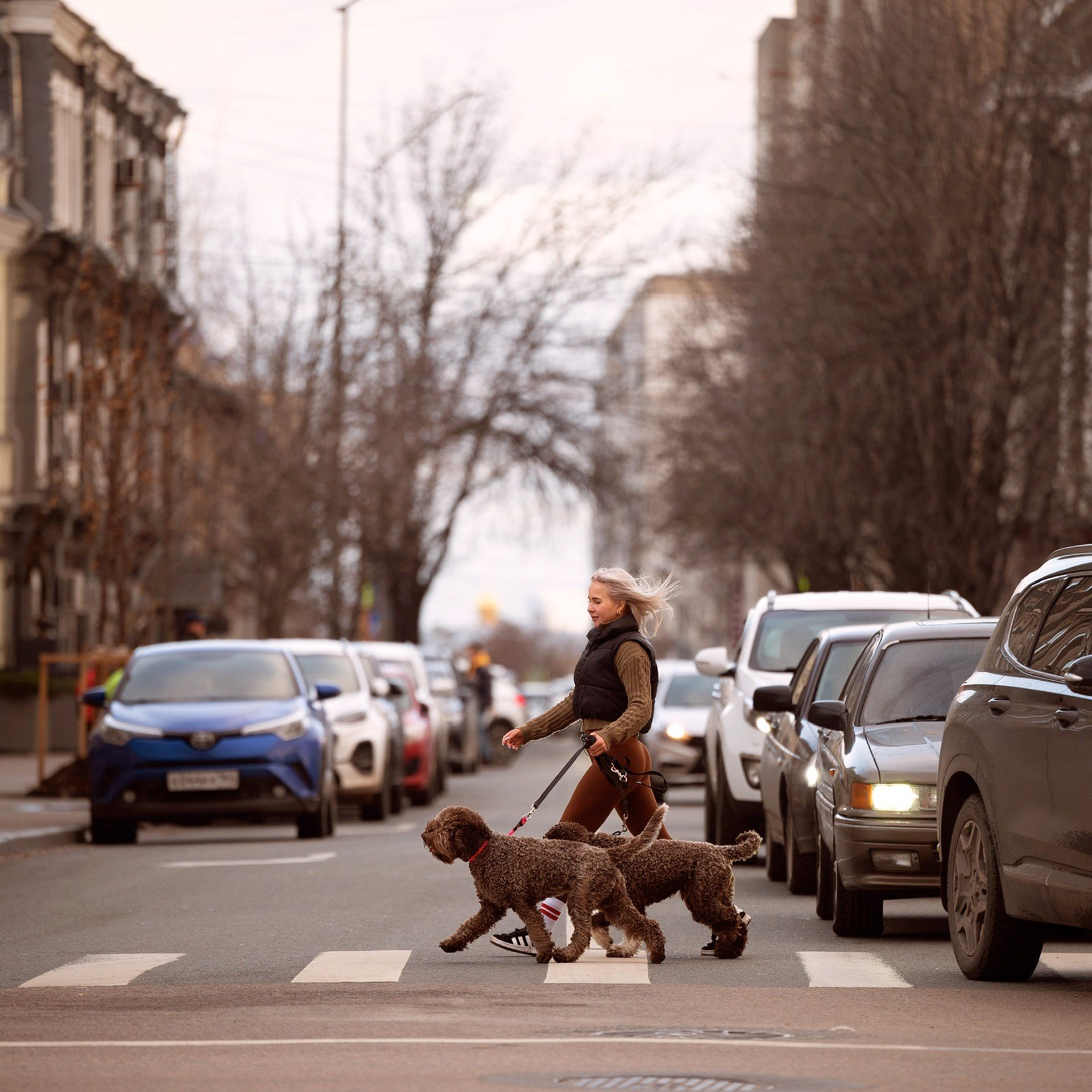 Шерлок, Тэфи и Ксения