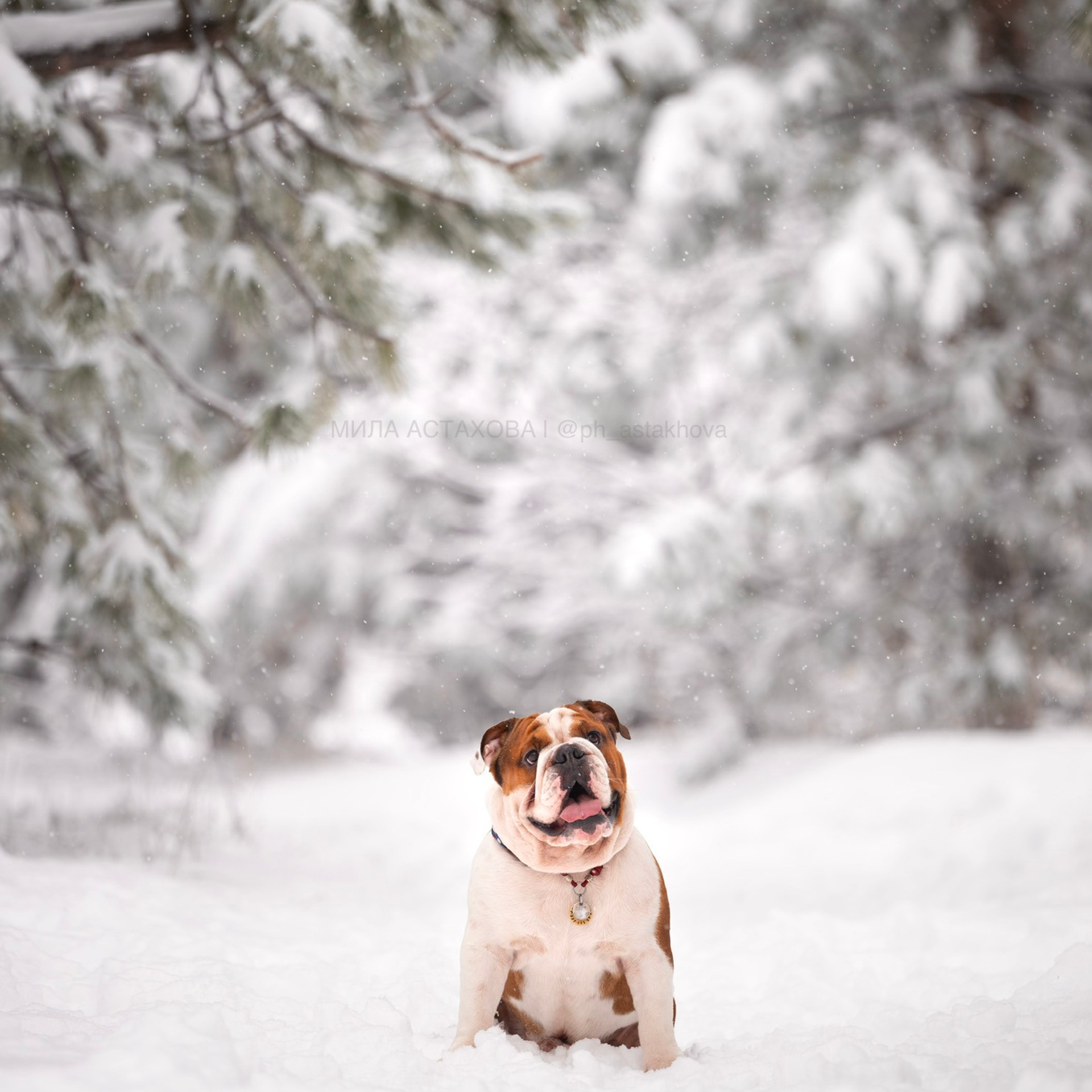 Надежда и Диас