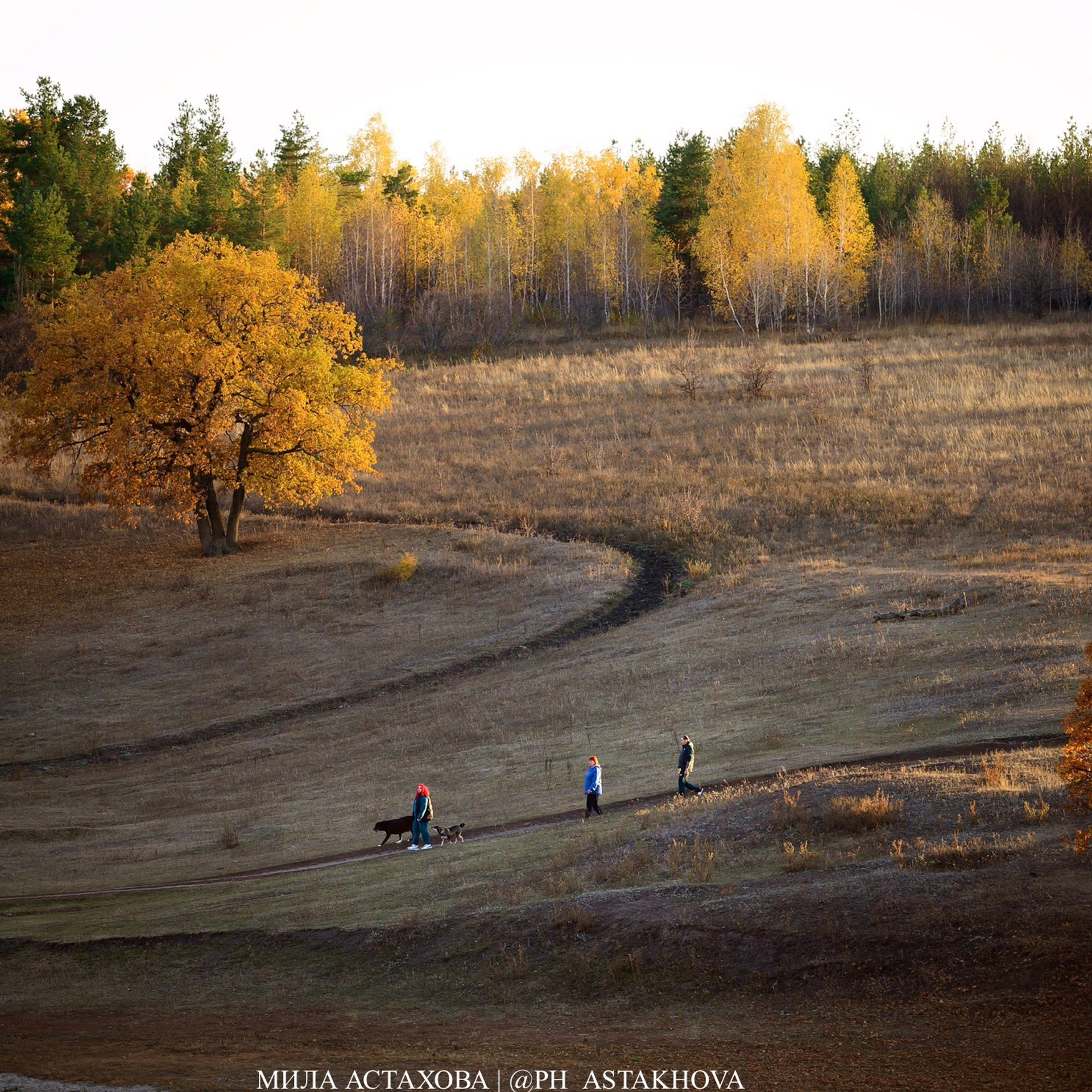 Буся, Марсель, Дарья, Лия и Алексей