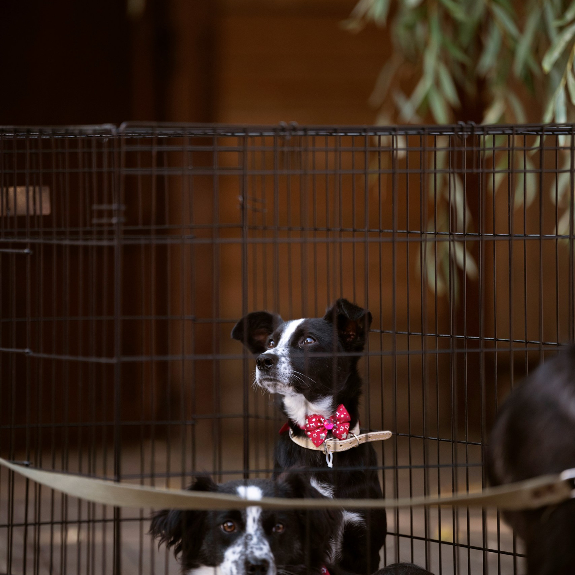 Отзывы. Мила Астахова