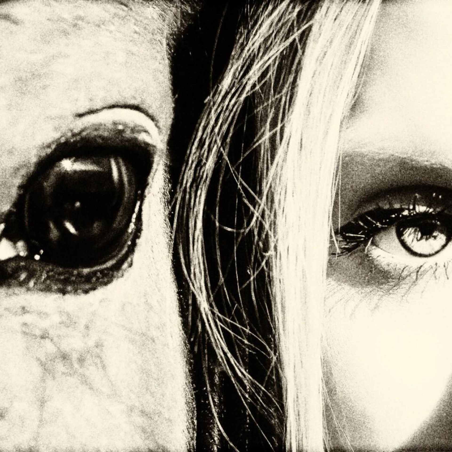 Женский фотограф Крещение Венчание Москва Брянск