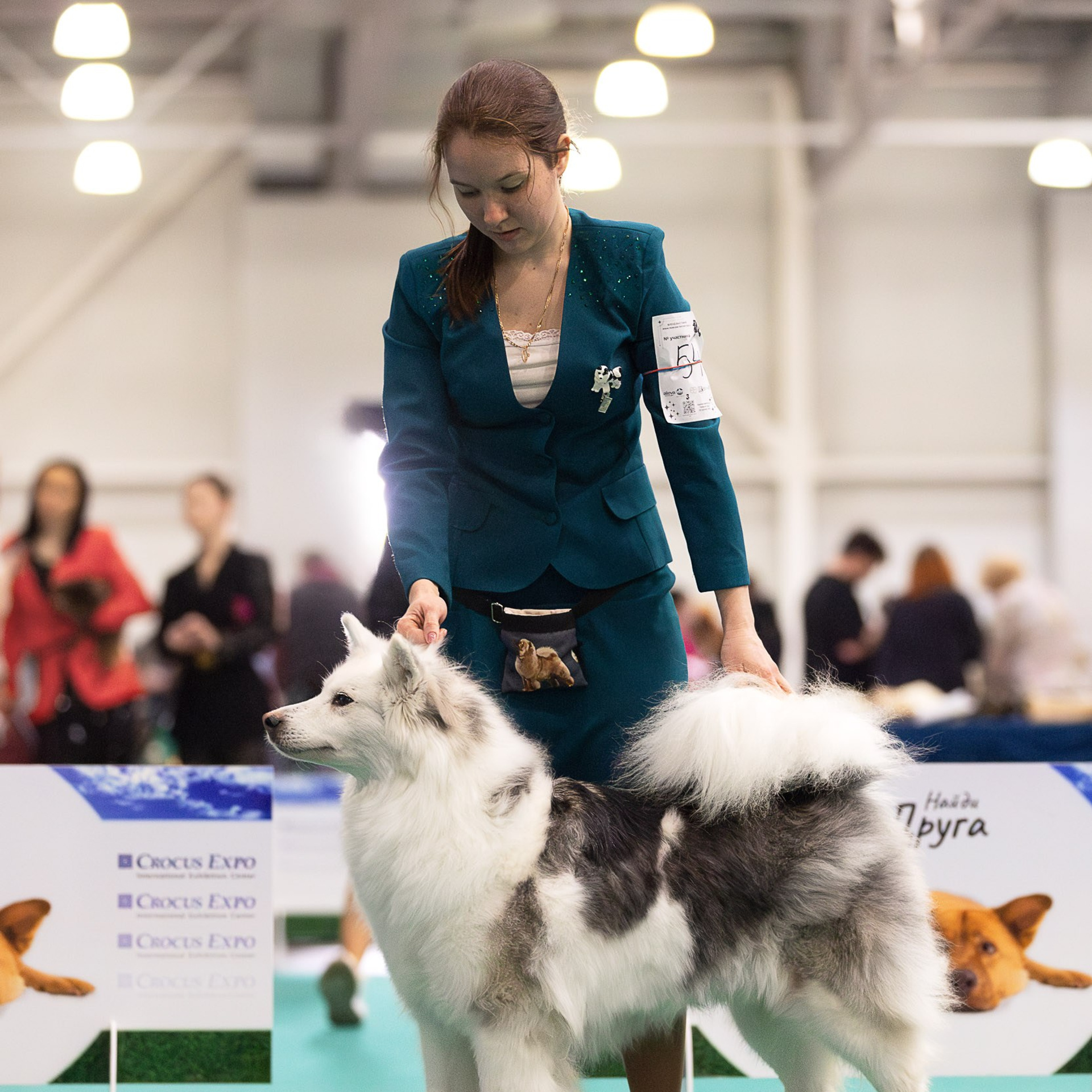 Питомник Грааль Гардарика на монопородной выставке якутских лаек (Крокус Экспо, Москва, 2025)