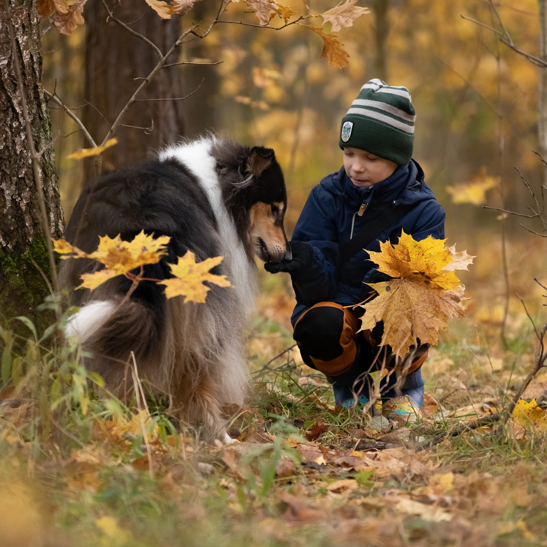 Мальчик и его колли в пасмурный осенний день