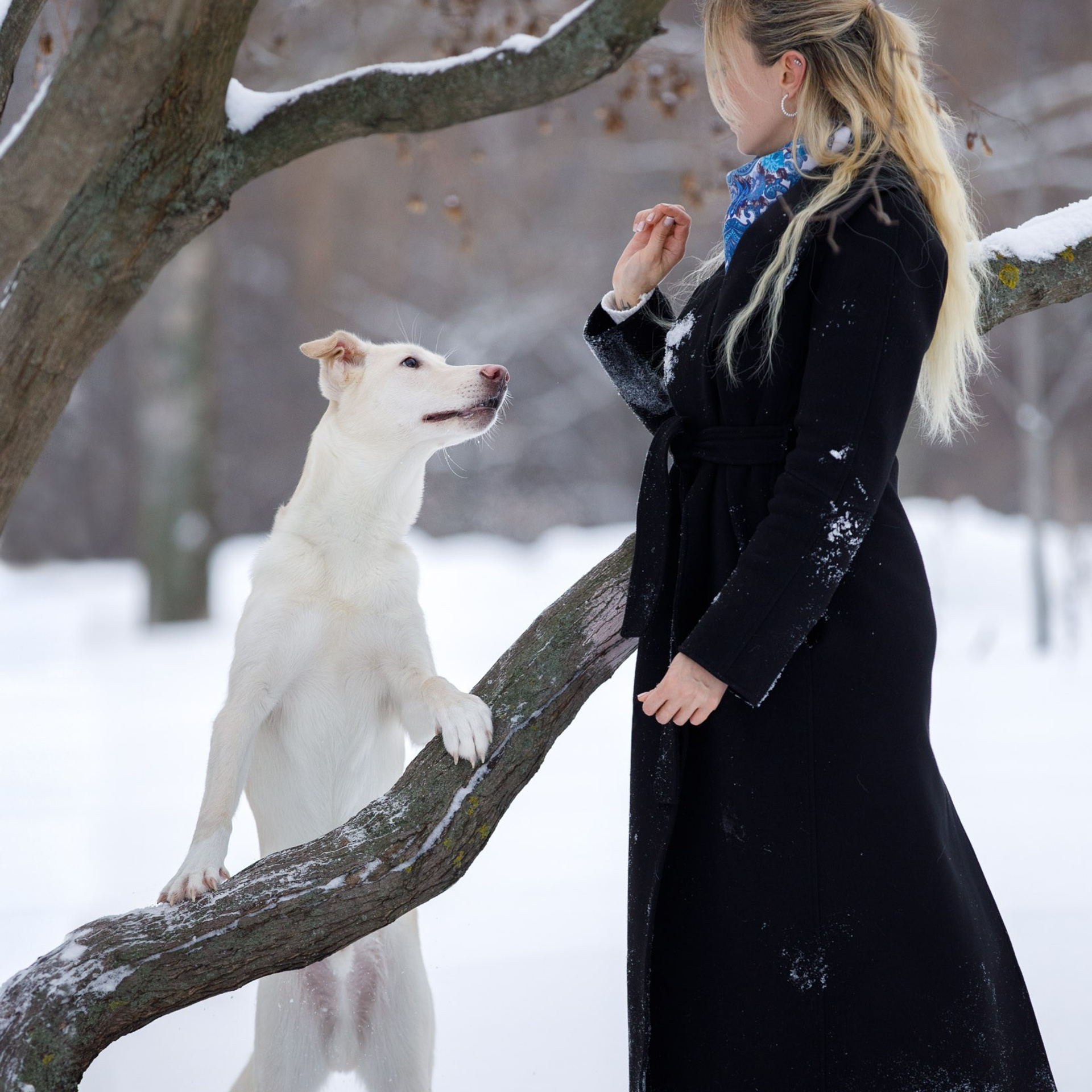 Отзывы о фотографе-анималисте Фроловой Татьяне. Фотограф-анималист в Москве и Московской области Татьяна Фролова