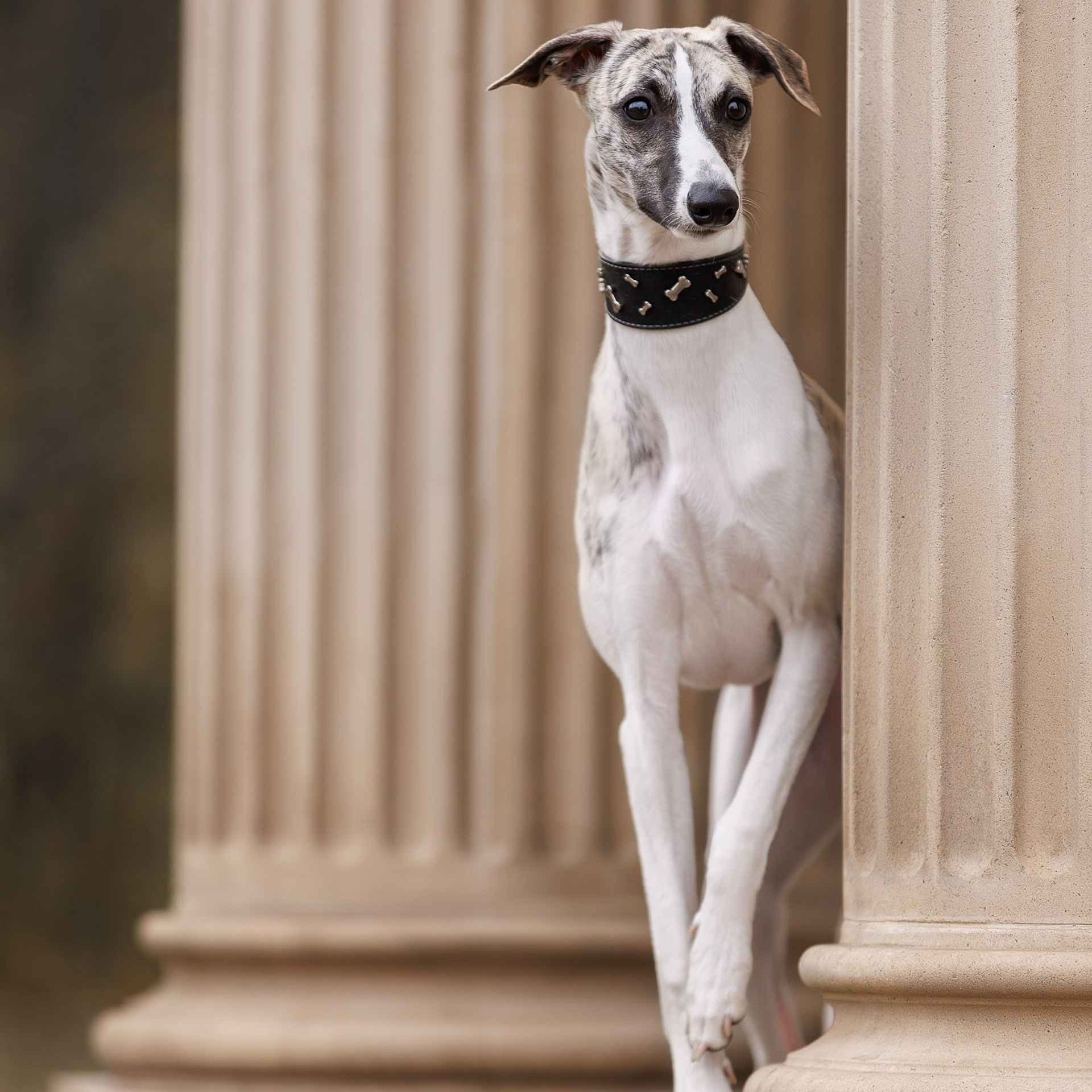 Город Набережных